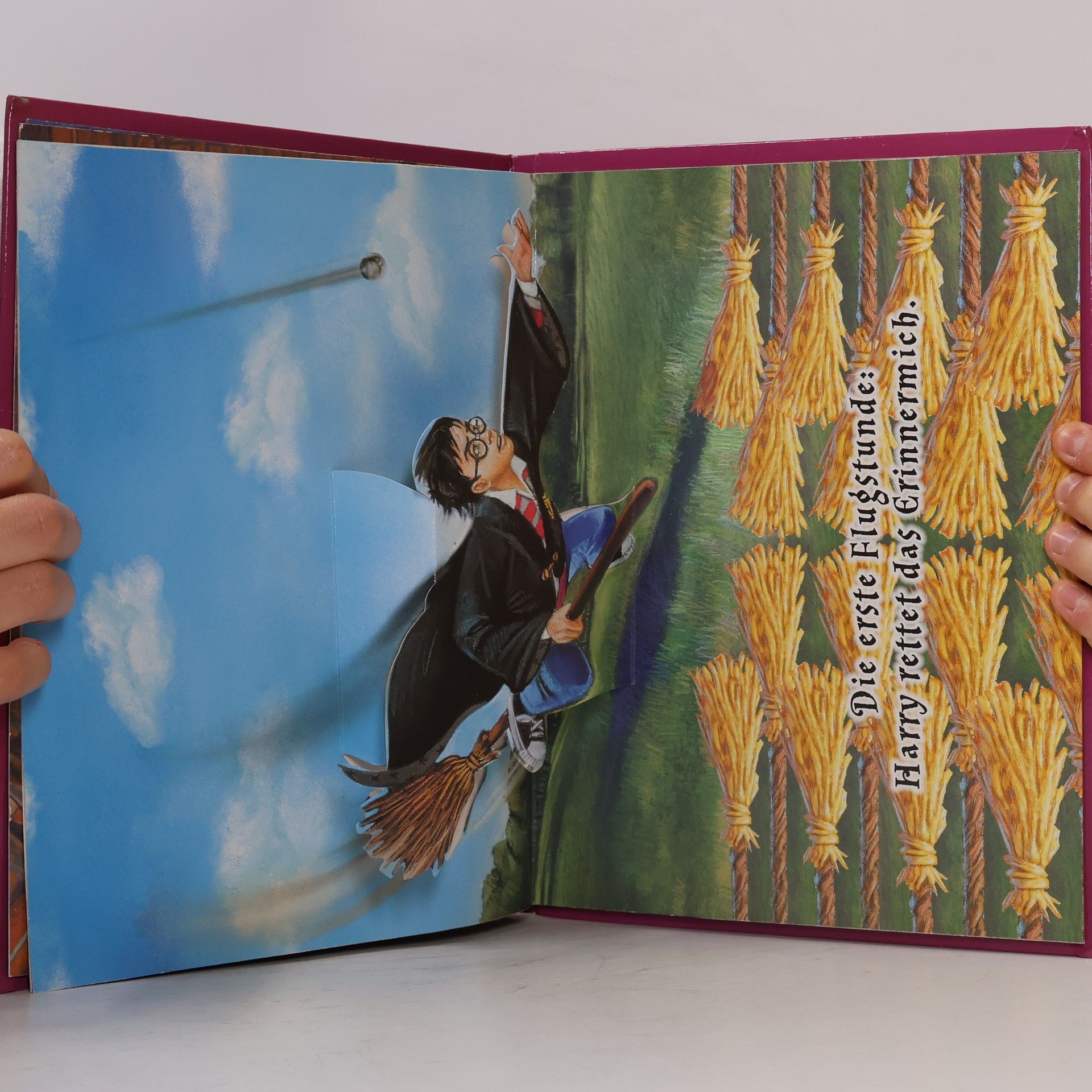 Joanne K. Rowling Harry Potter Pop-up Buch Band 3