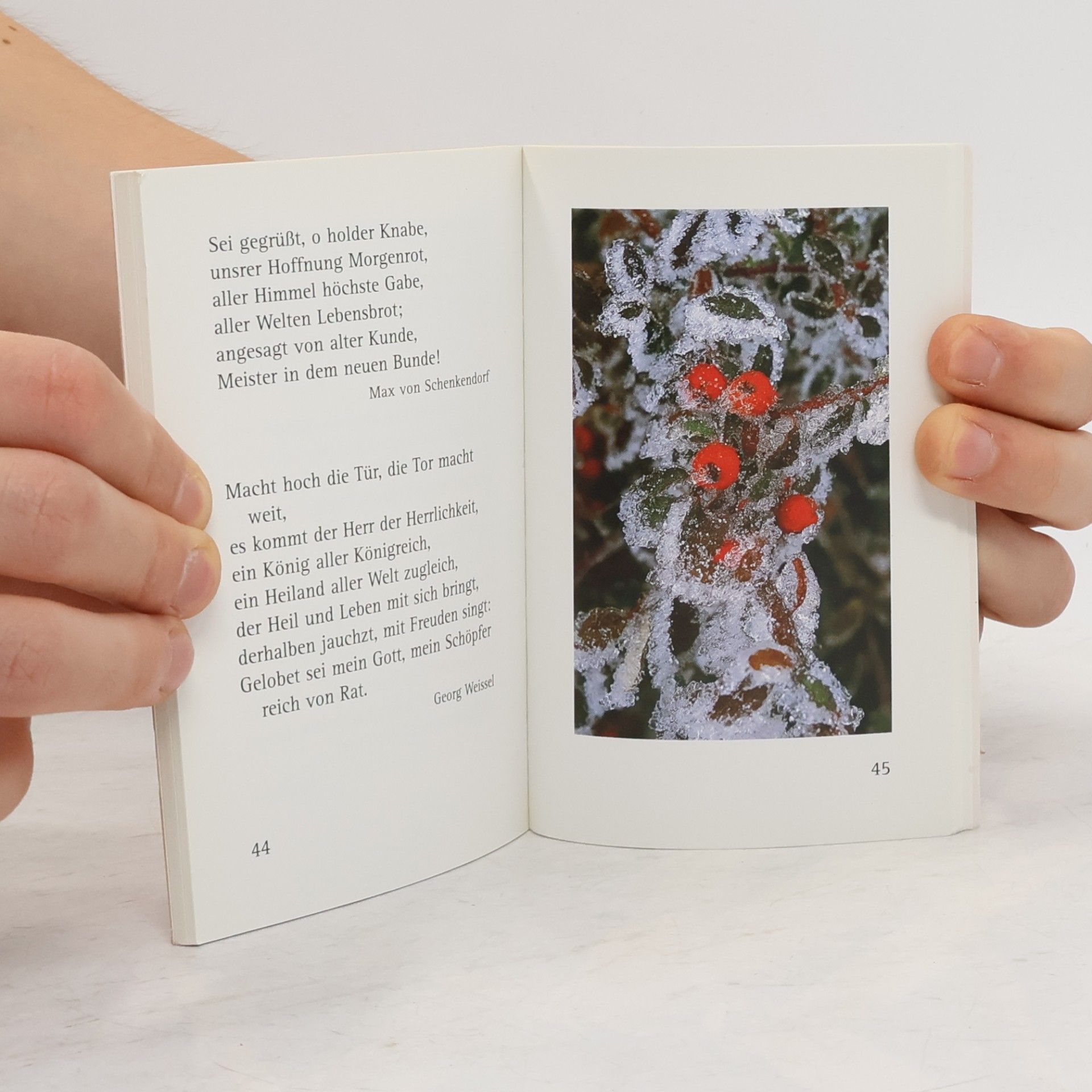 Kleine Perlen-Bibliothek: Für besinnliche Festtage