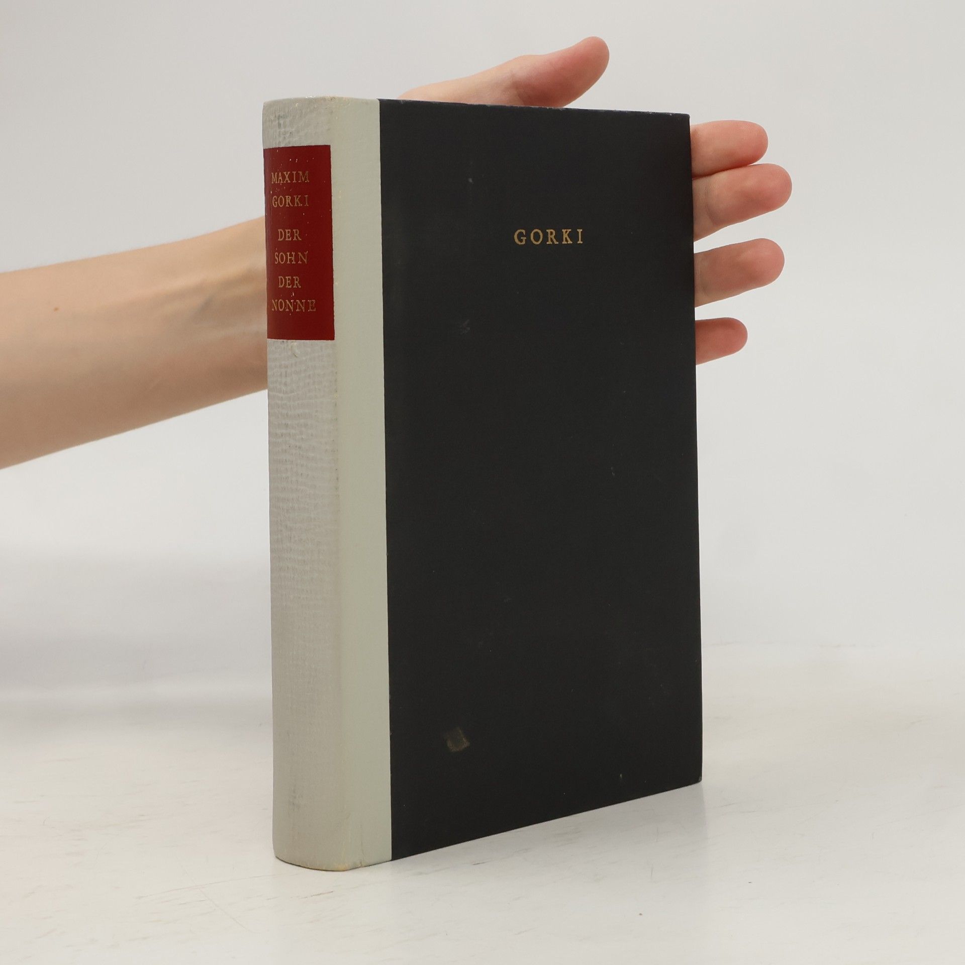Maxim Gorky Der Sohn der Nonne