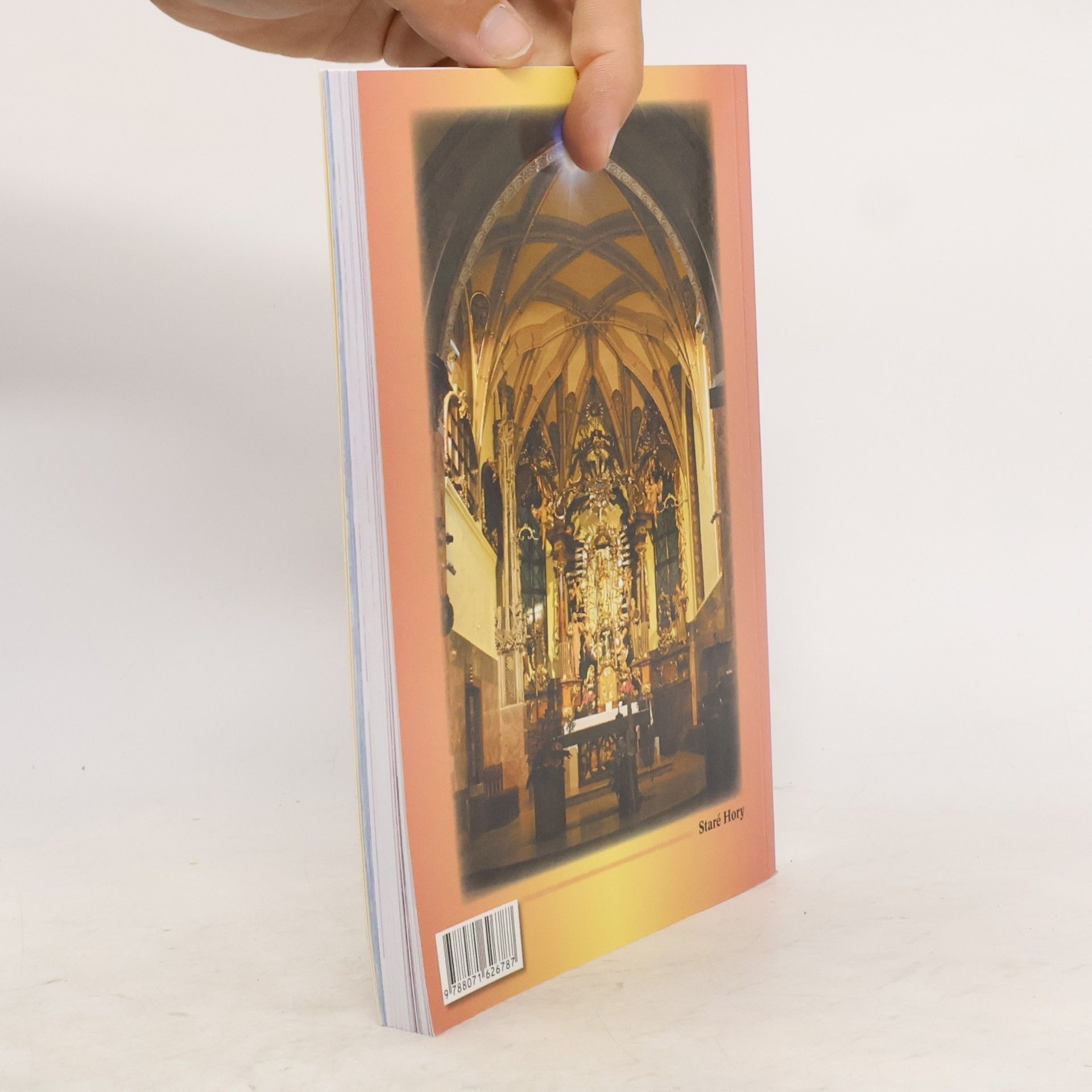 Autores varios Pútnik svätovojtešský