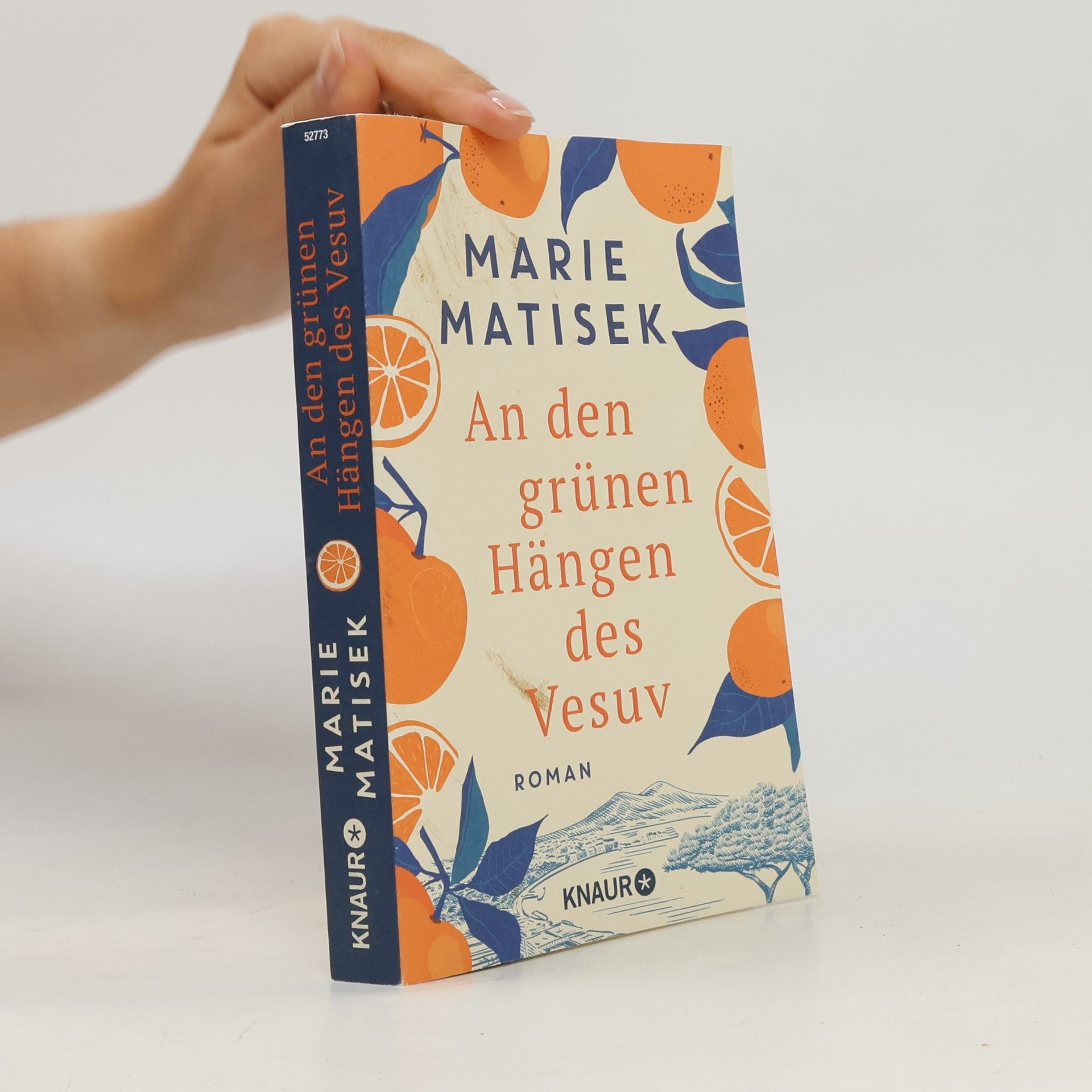 Marie Matisek An den grünen Hängen des Vesuv