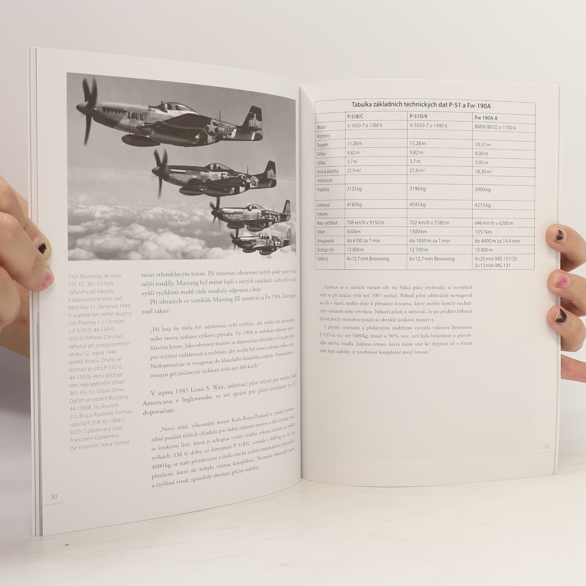 Martin Bowman P-51 Mustang vs Fw 190