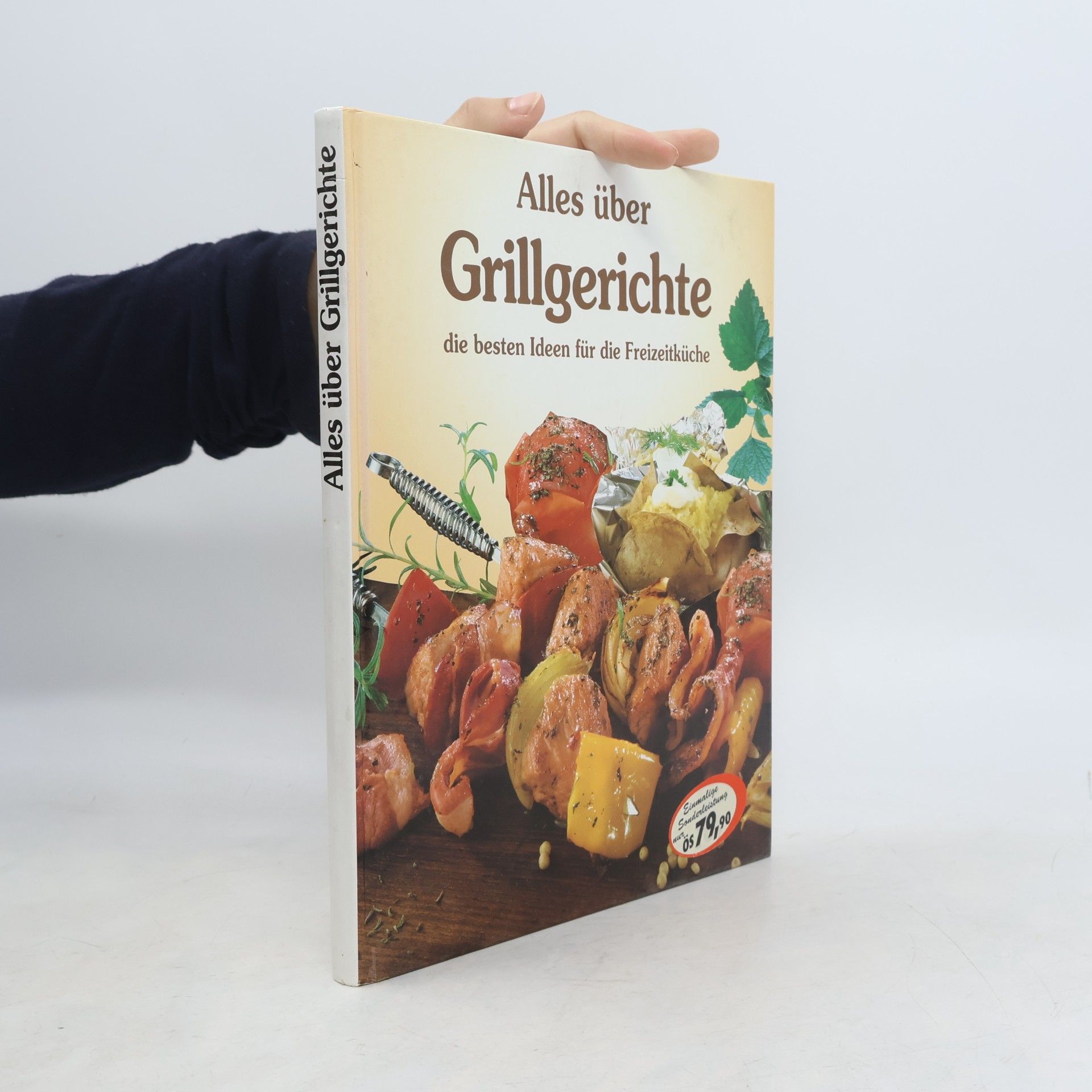 Autorenkollektiv Alles über Grillgerichte : die besten Ideen für die Freizeitküche