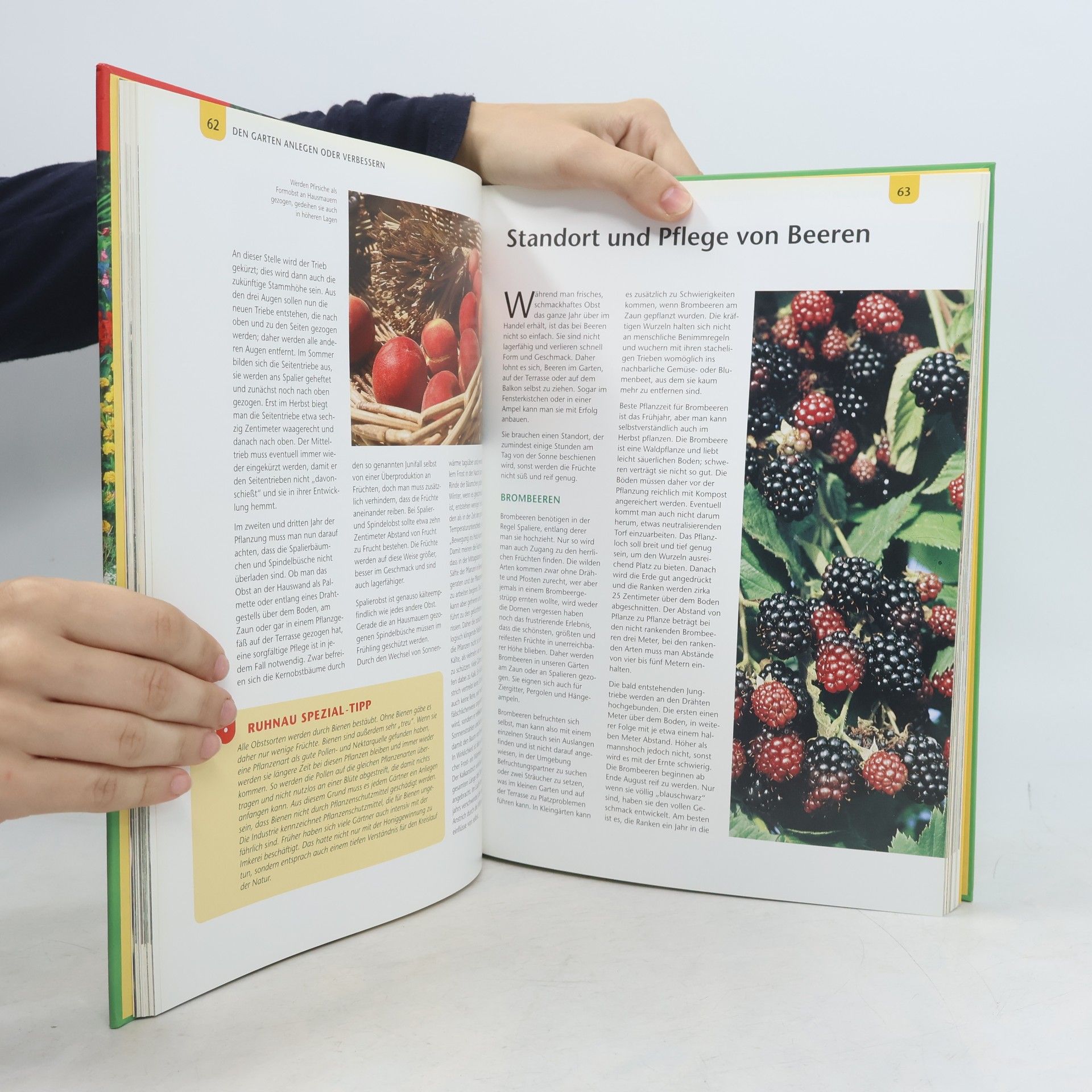 Klaus Ruhnau Das grosse ORF-Gartenbuch