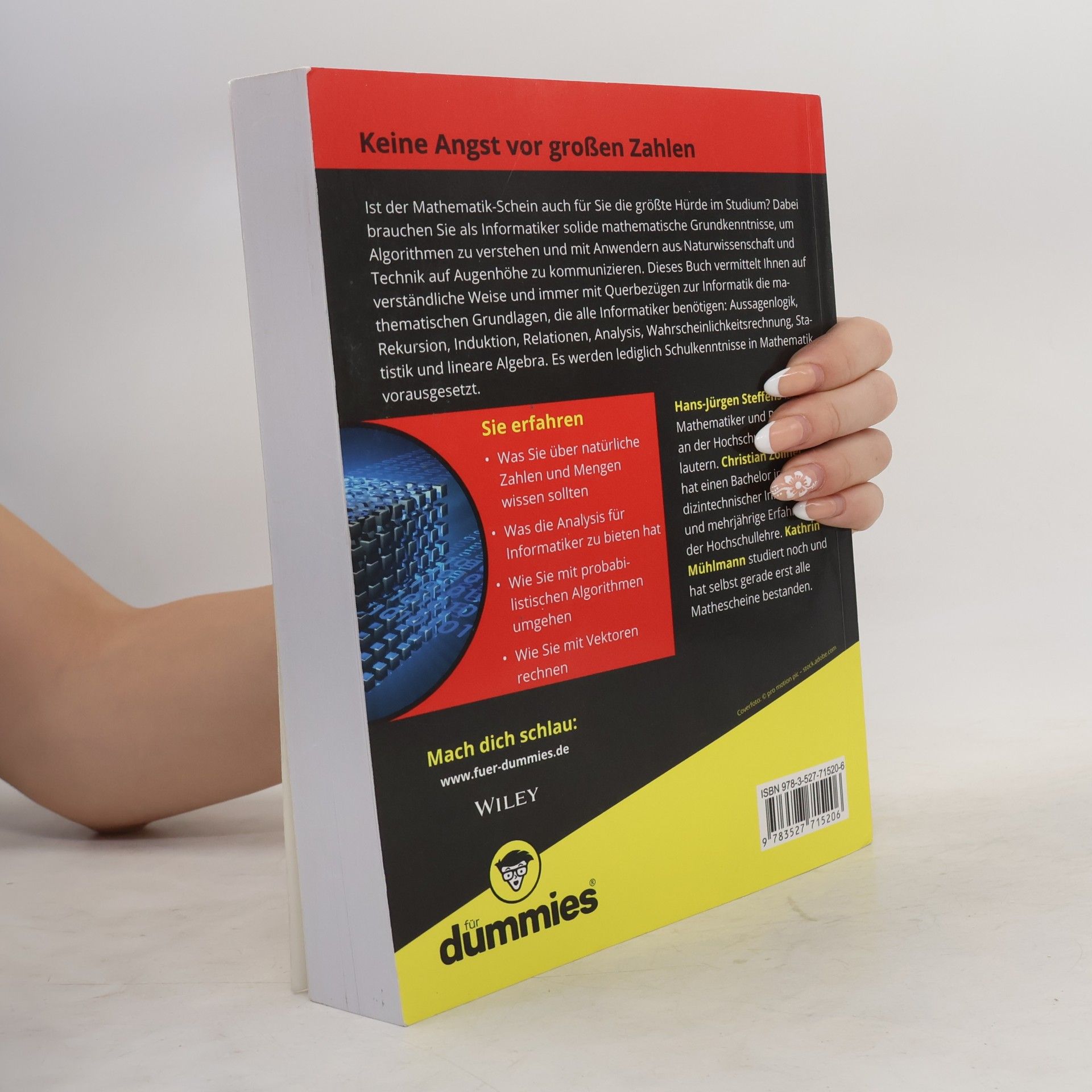 Hans-Jürgen Steffens Mathematik für Informatiker für Dummies