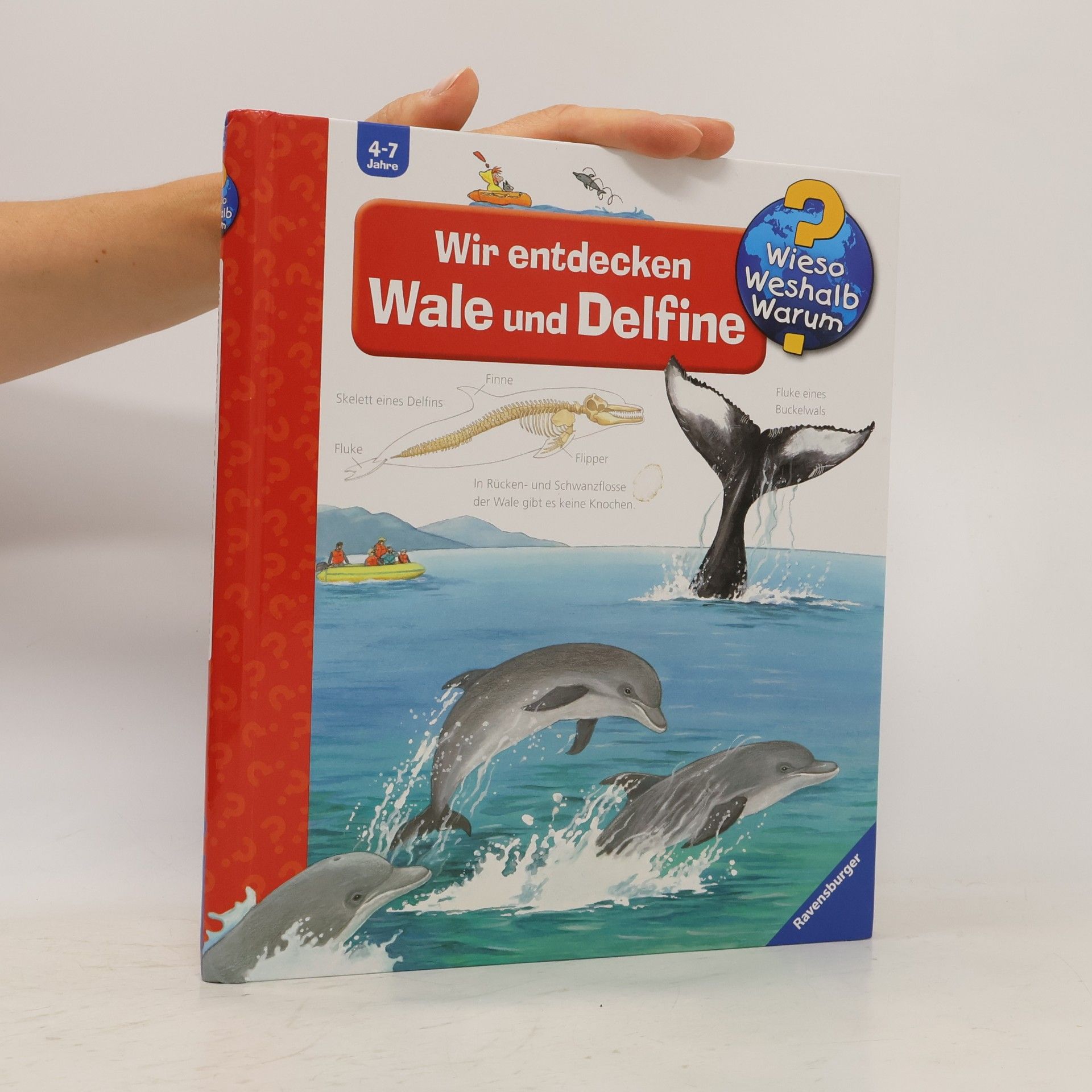 Doris Rübel Wir entdecken Wale und Delfine