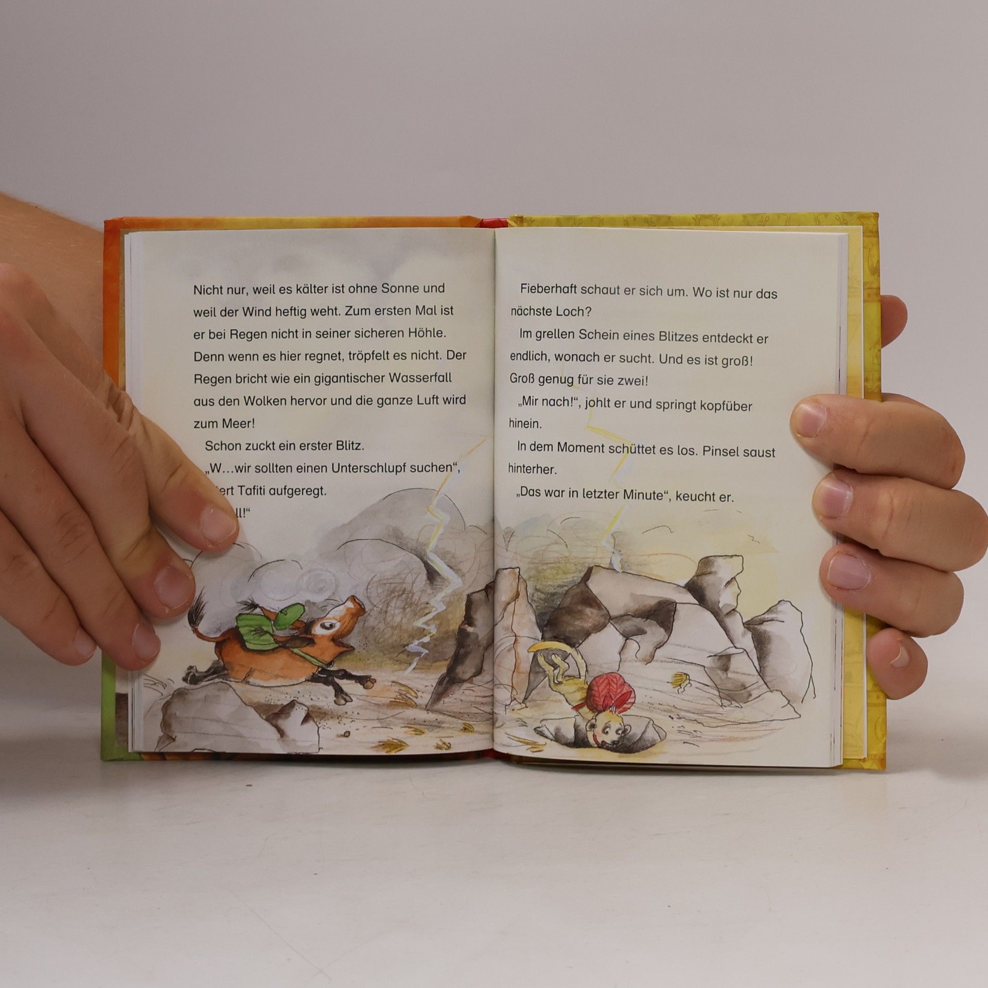 Julia Boehme Tafiti - 1: Tafiti und die Reise ans Ende der Welt