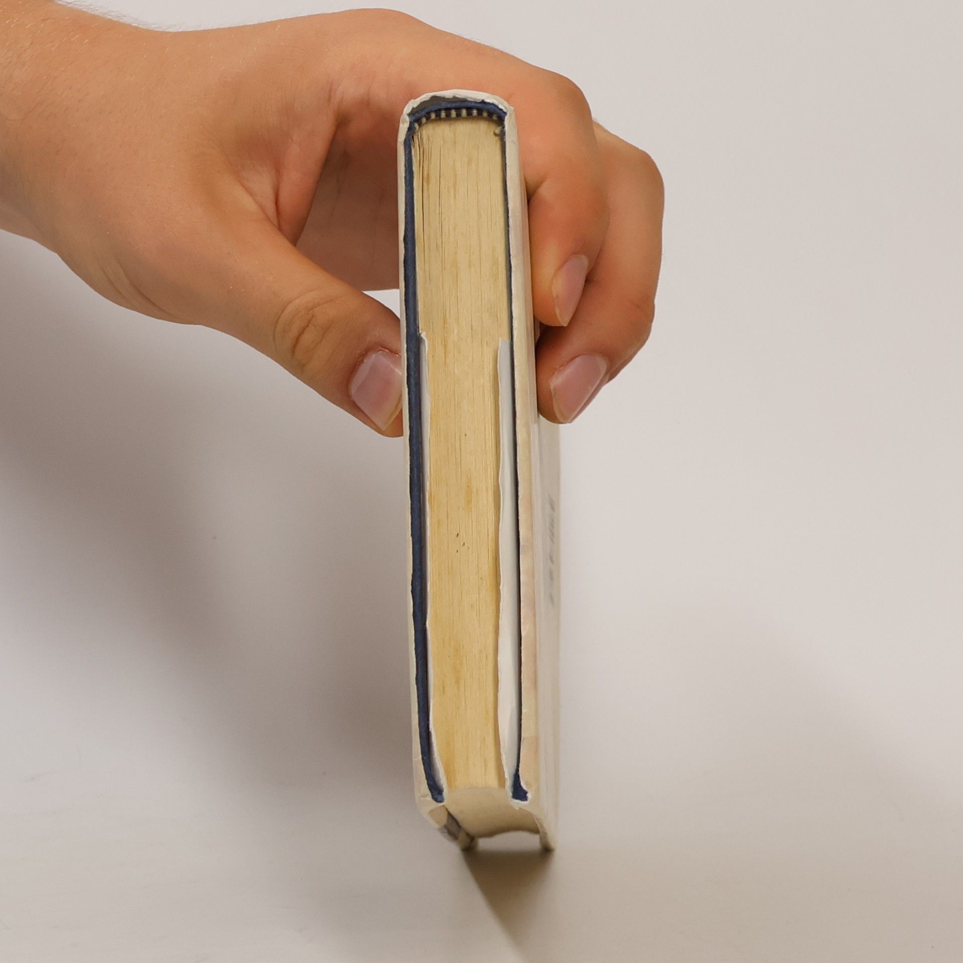 Nicholas Sparks The Notebook