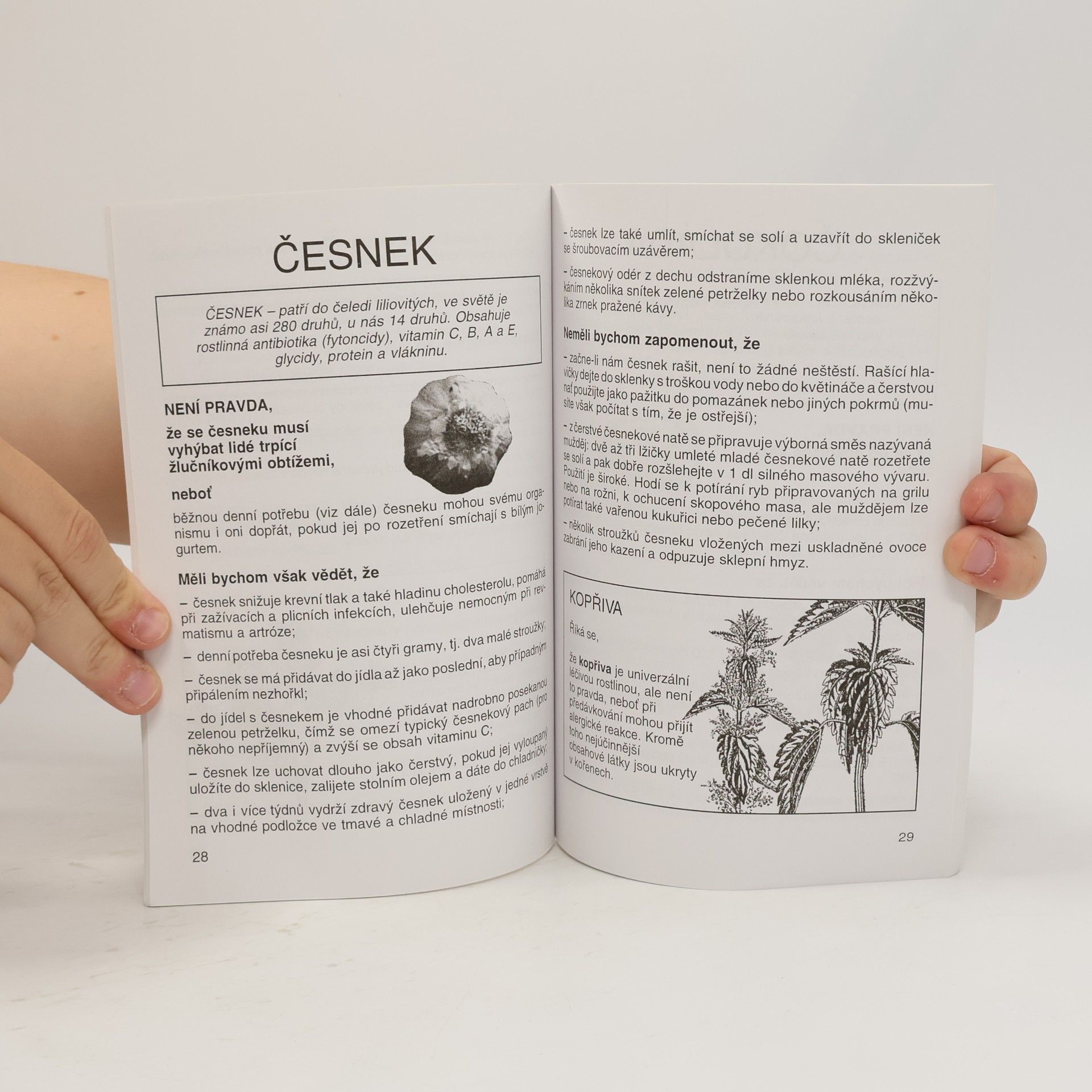 Miroslav Mayer První český opravník kuchyňských, stravovacích a bylinkářských omylů