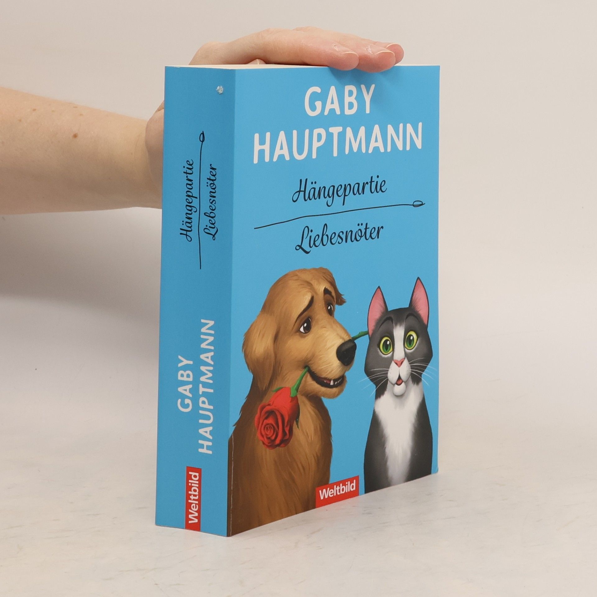 Gaby Hauptmann Hängepartie. Liebesnöter