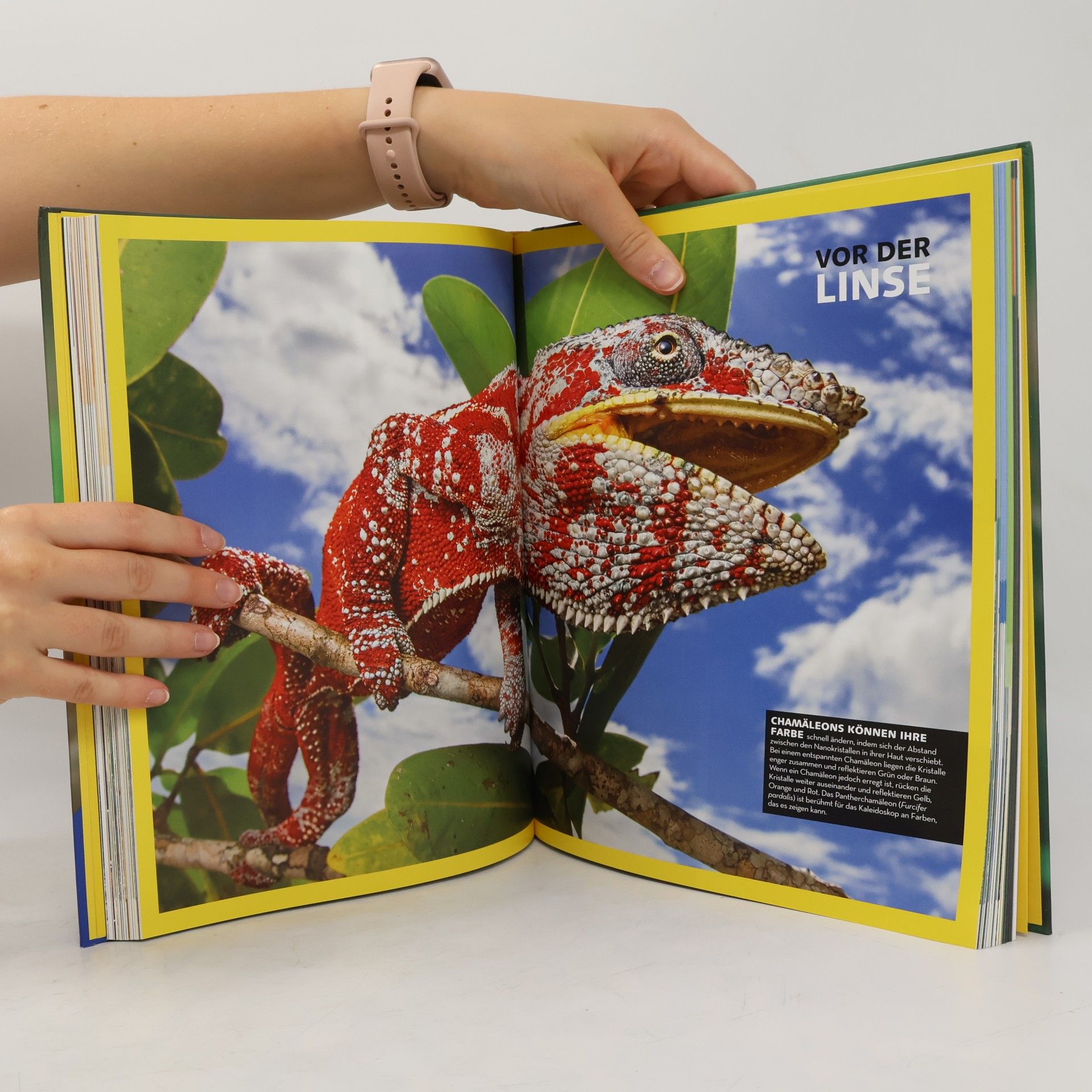 Anette Ostländer National Geographic Kids - Lexikon der Tiere