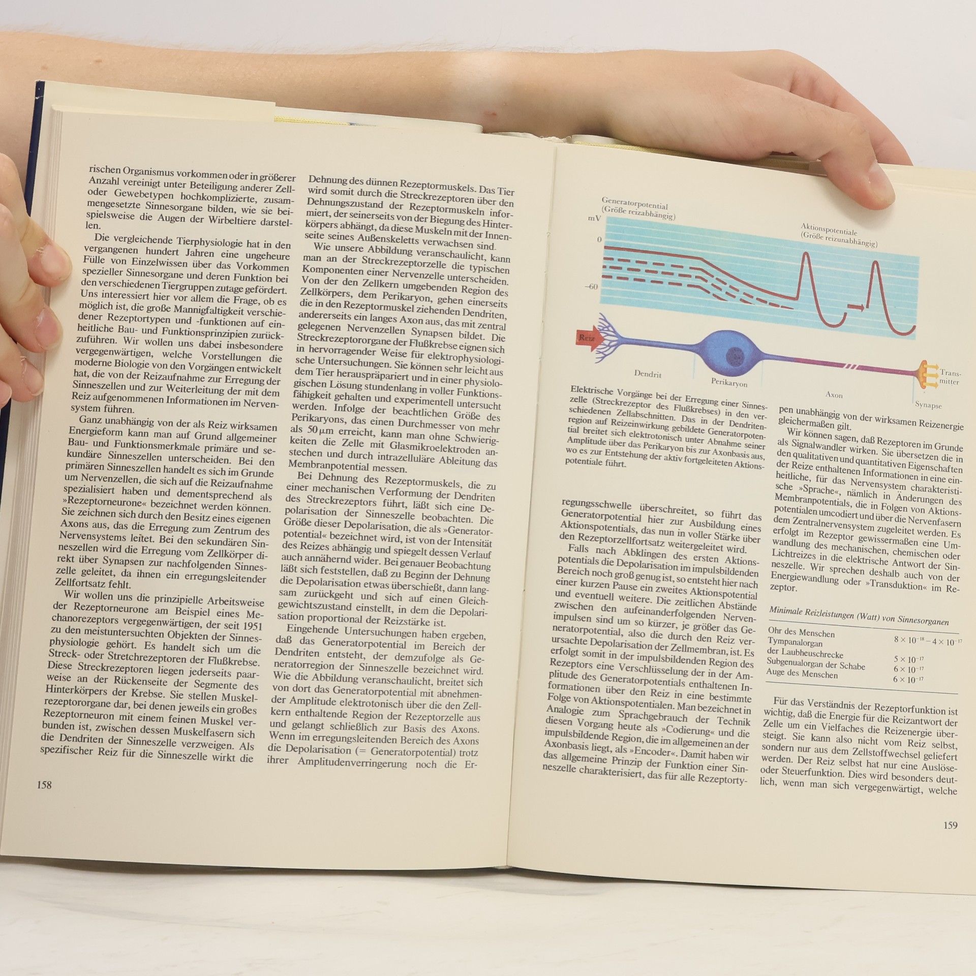 Horst Füller Das Bild der modernen Biologie