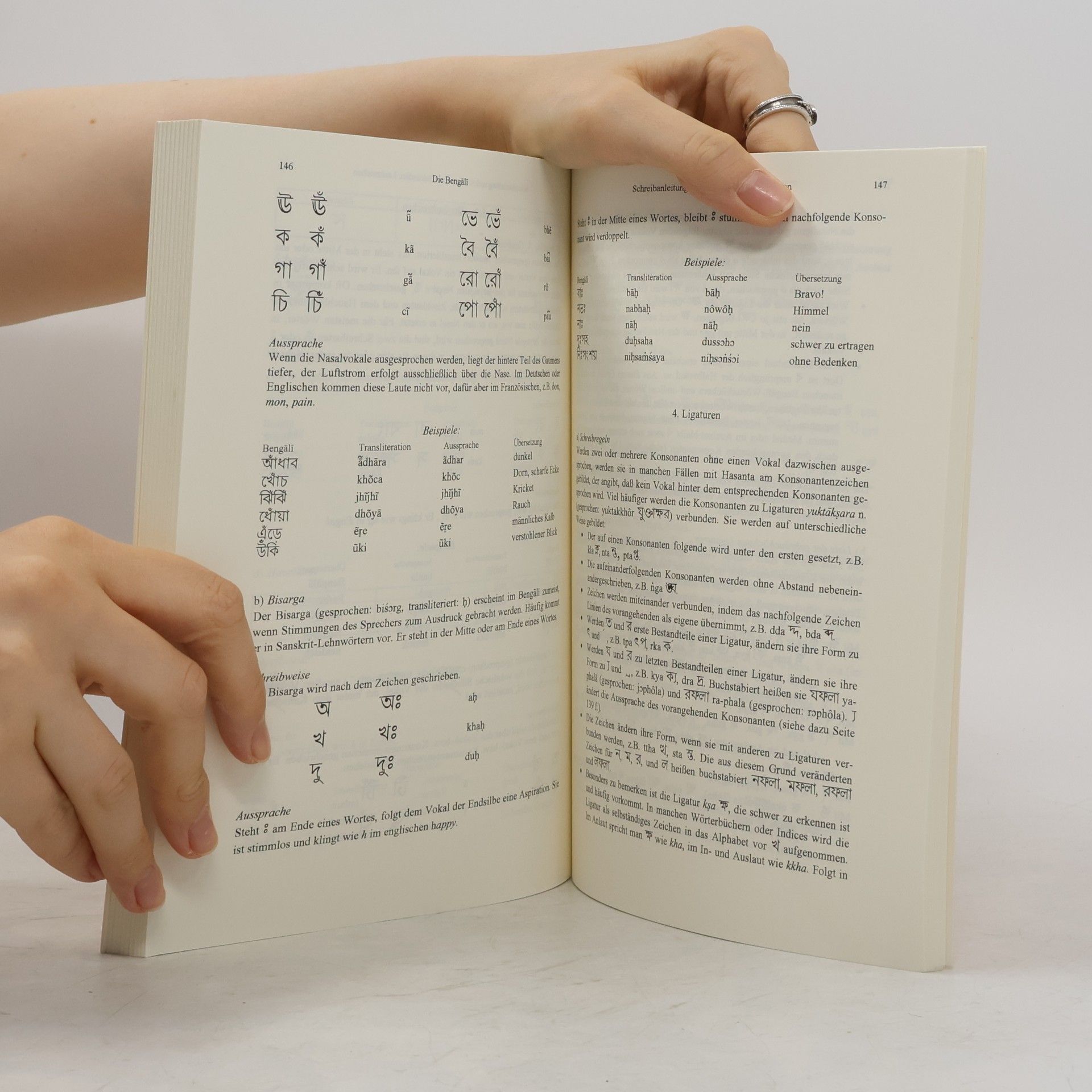 Elvira Friedrich Einführung in die indischen Schriften 2