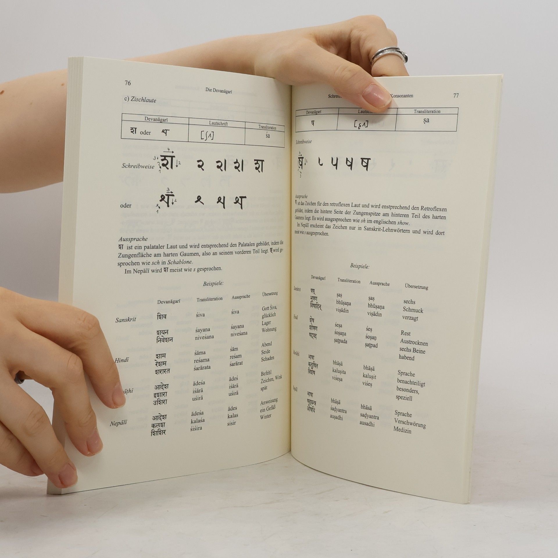 Elvira Friedrich Einführung in die indischen Schriften 1