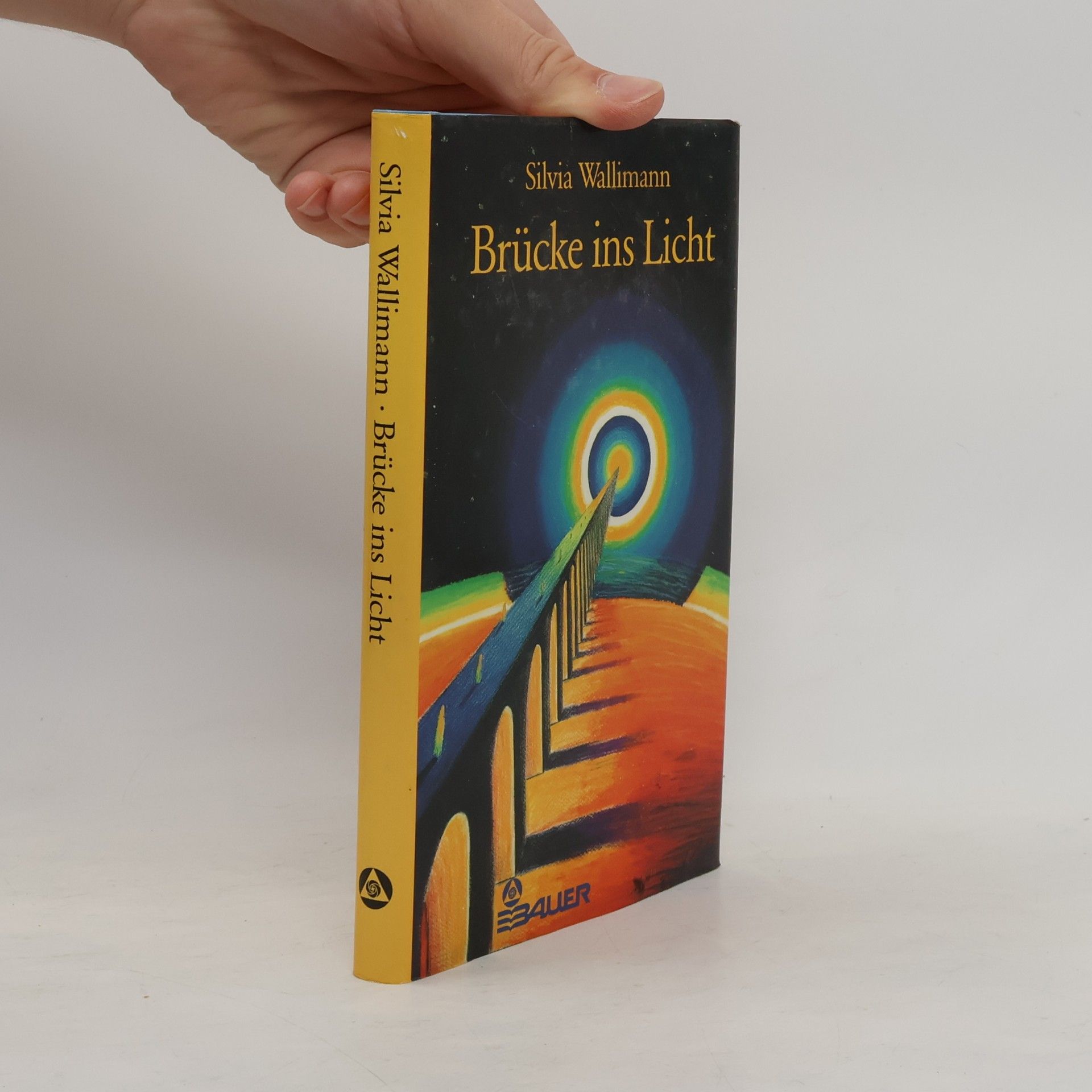 Silvia Wallimann Brücke ins Licht