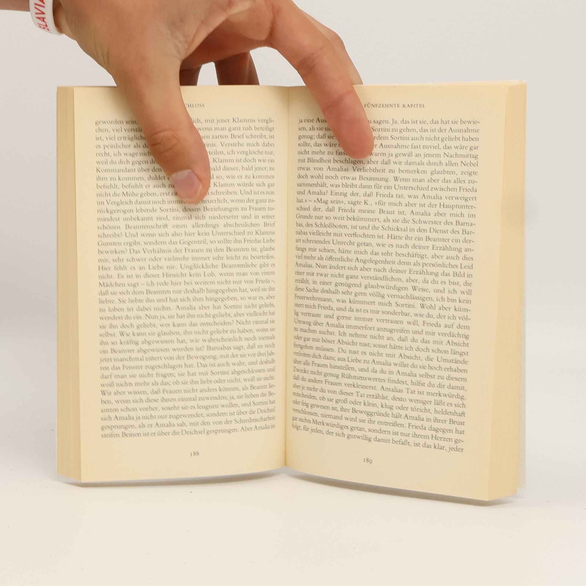 Franz Kafka Das Schloss : Roman