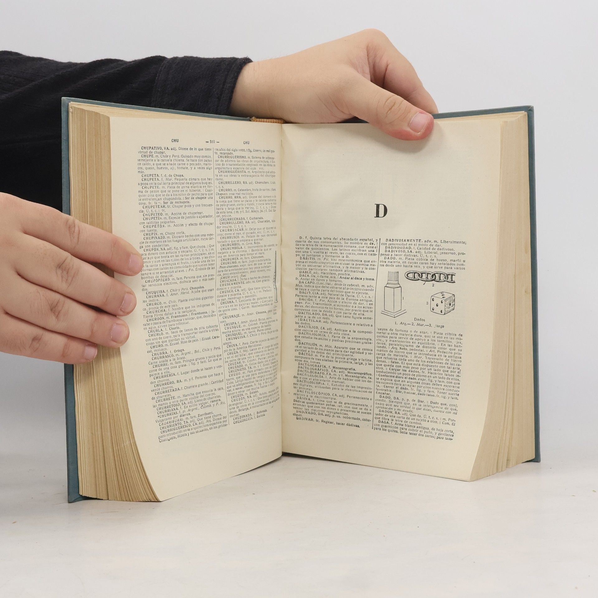 Autores varios Diccionario Manual e Ilustrado de la Lengua Espaňola