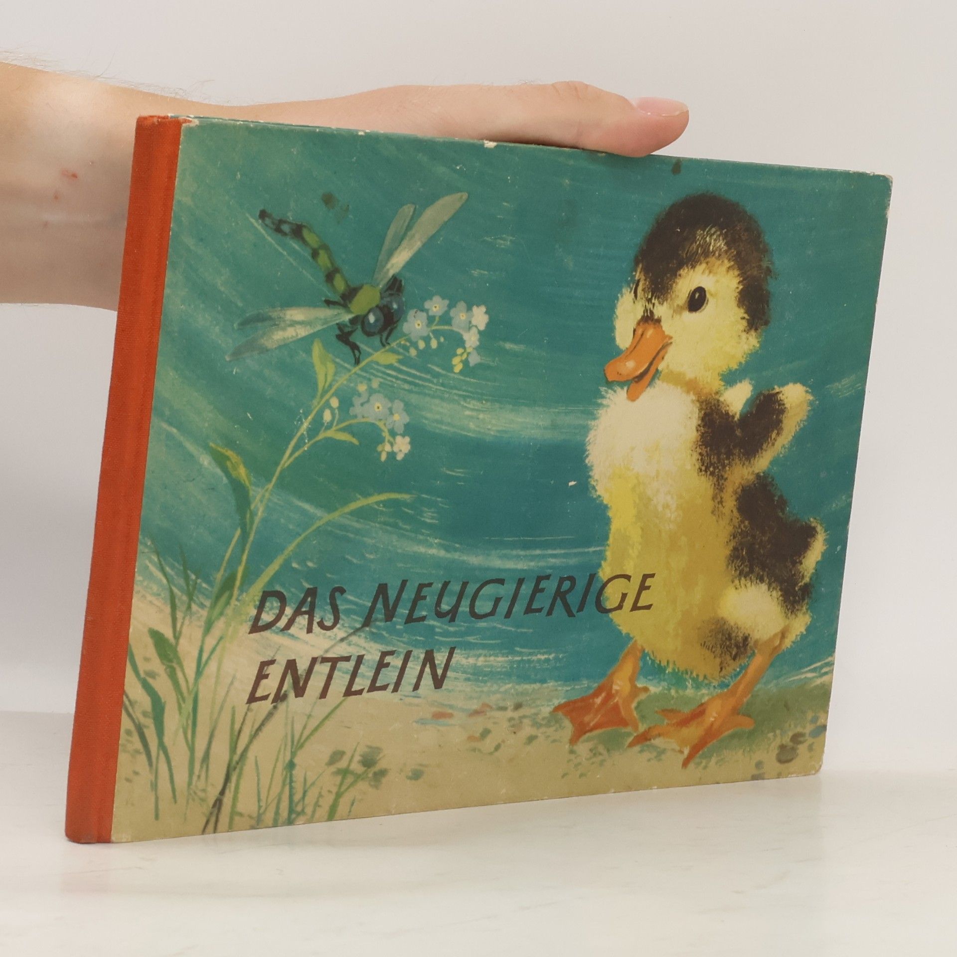 Autorenkollektiv Das Neugierige entlein