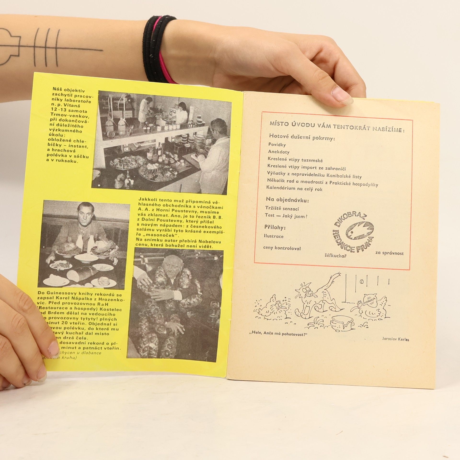 Kolektiv autorů Minikalendář Dikobrazu 1982