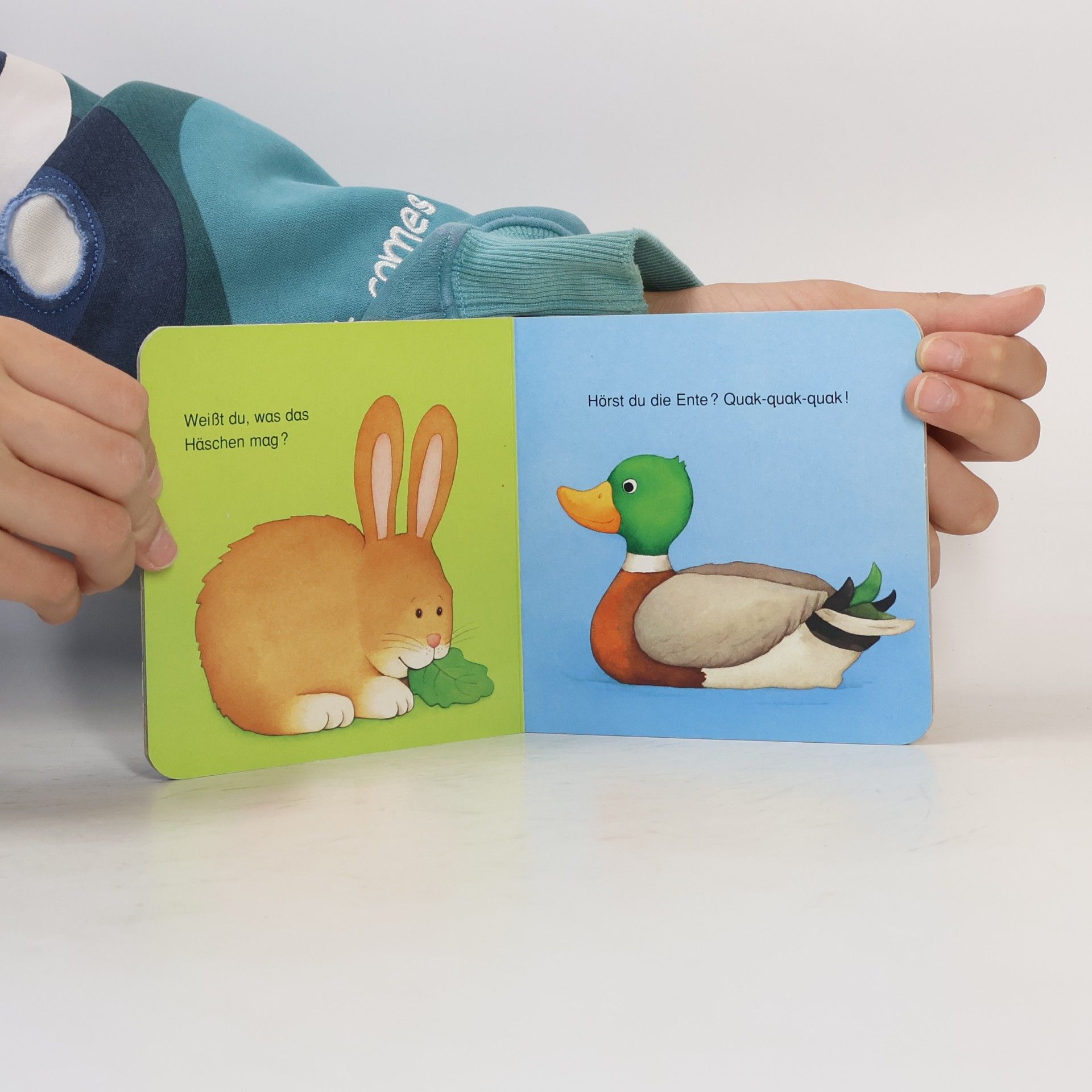 Autorenkollektiv Mein erstes Tierbuch