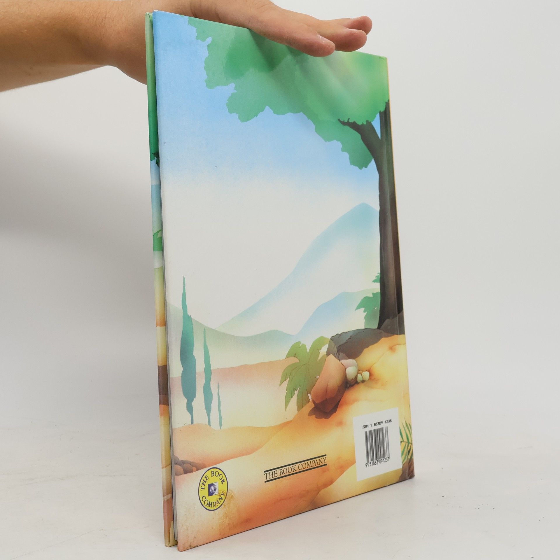 Collectif d'auteurs Bible Stories: The Old Testament
