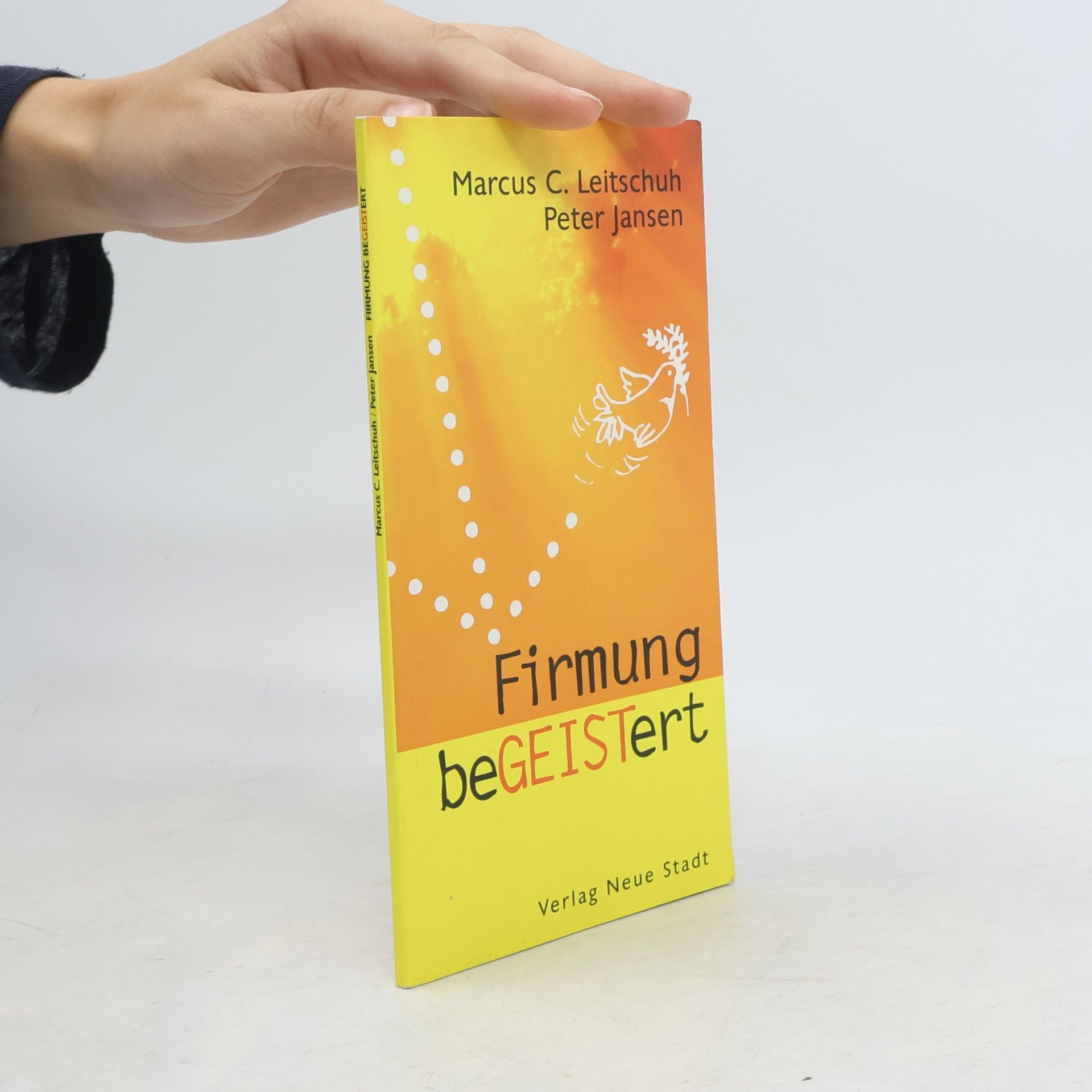 Bruder Paulus Terwitte Firmung beGEISTert