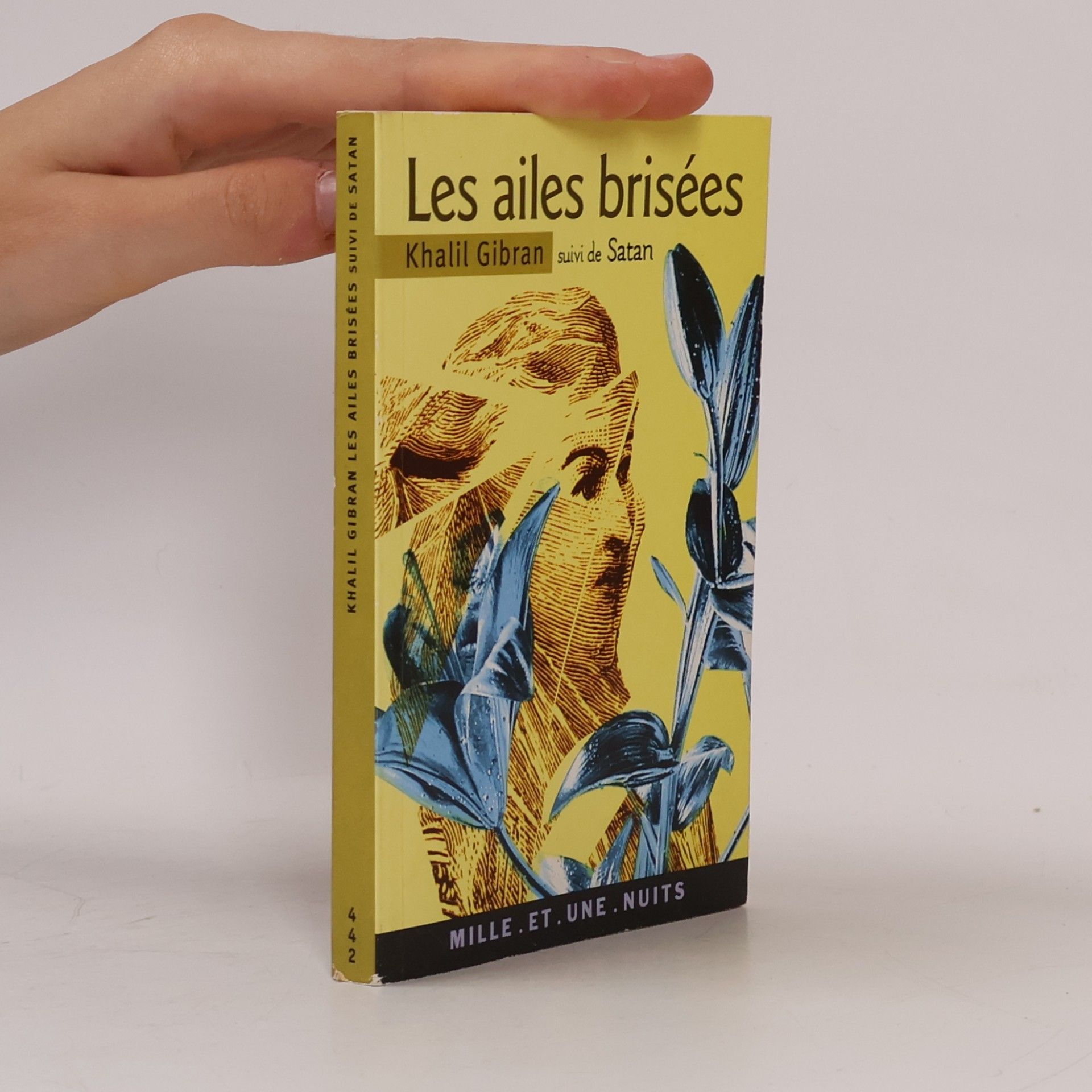 Khalil Gibran Les ailes brisées