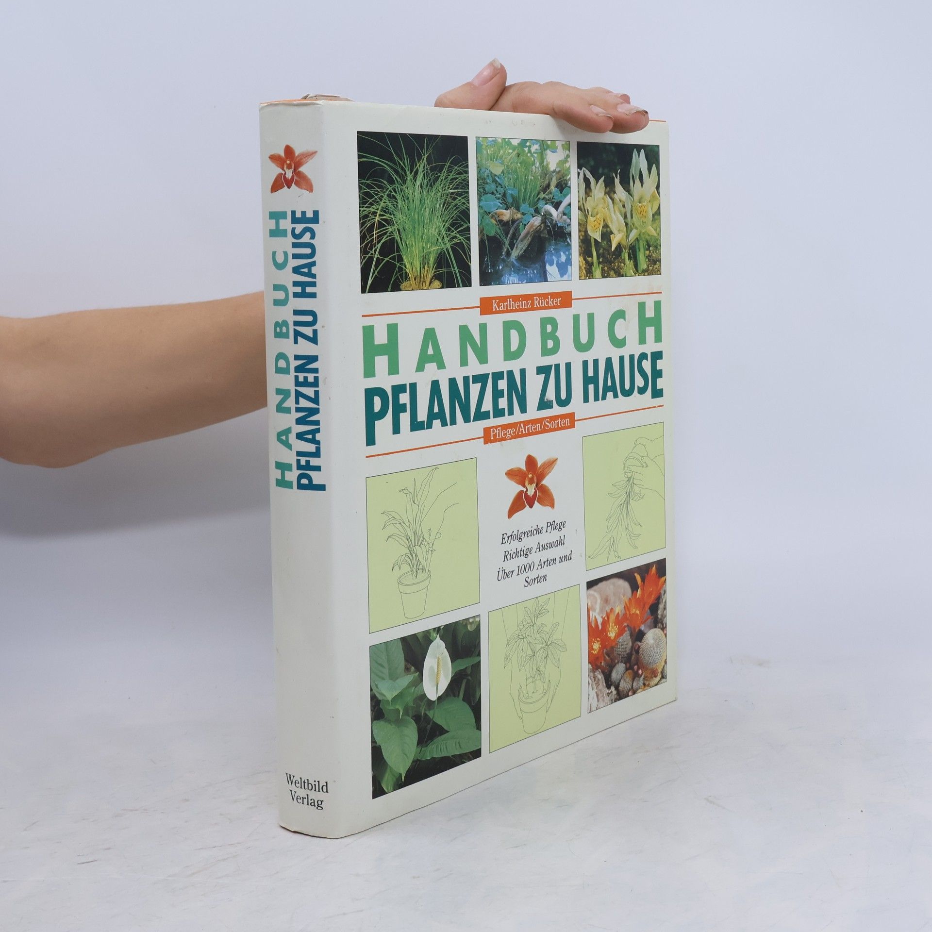 Karlheinz Rücker Handbuch Pflanzen zu Hause