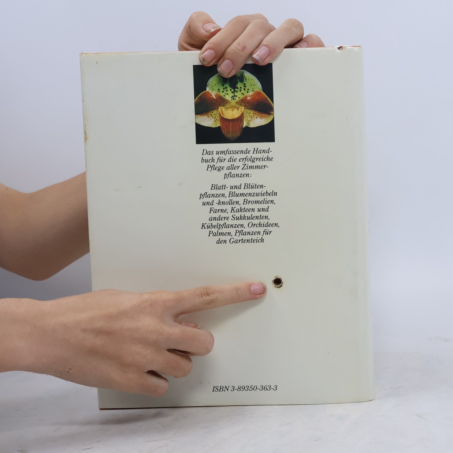 Karlheinz Rücker Handbuch Pflanzen zu Hause