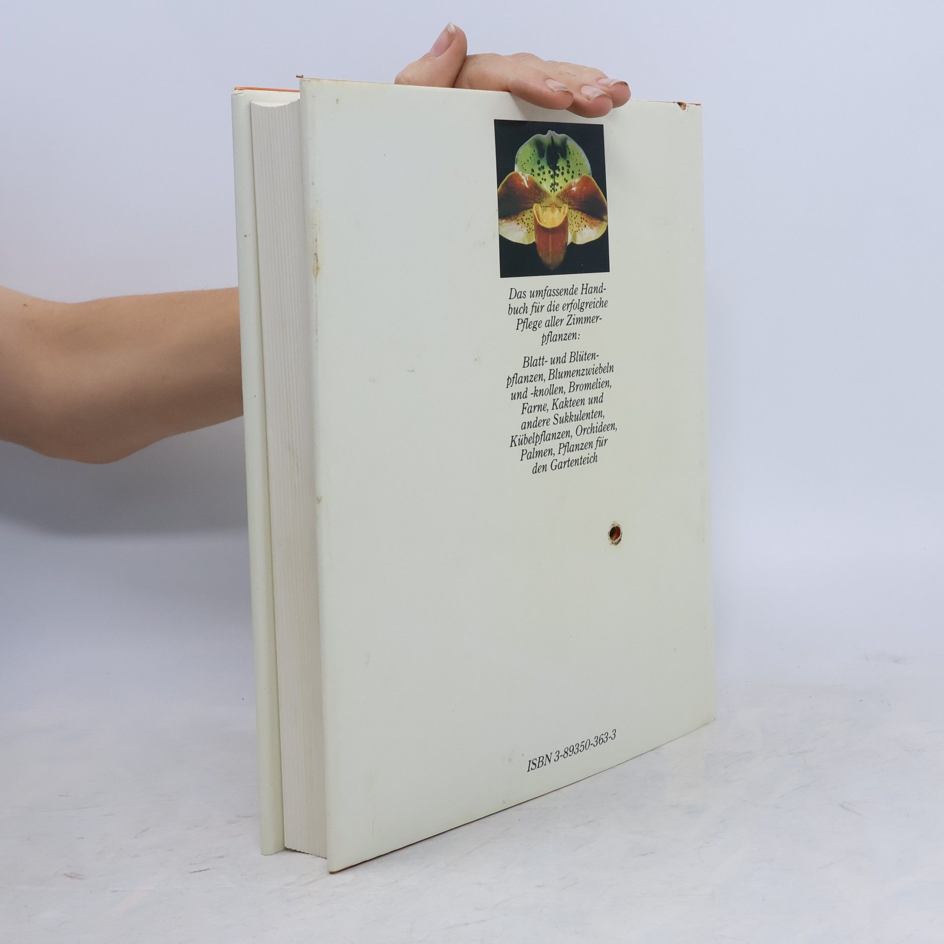 Karlheinz Rücker Handbuch Pflanzen zu Hause