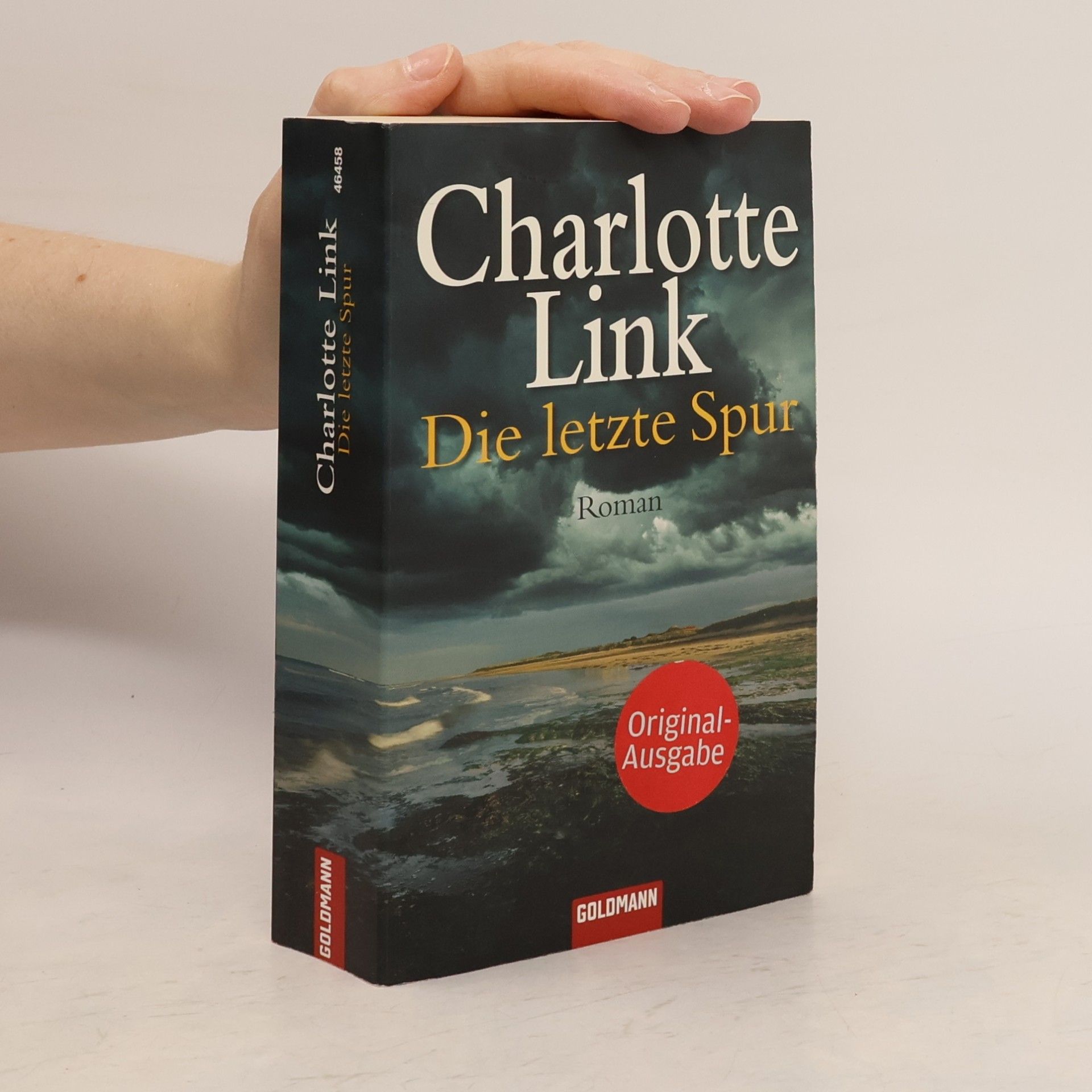 Charlotte Link Die letzte Spur