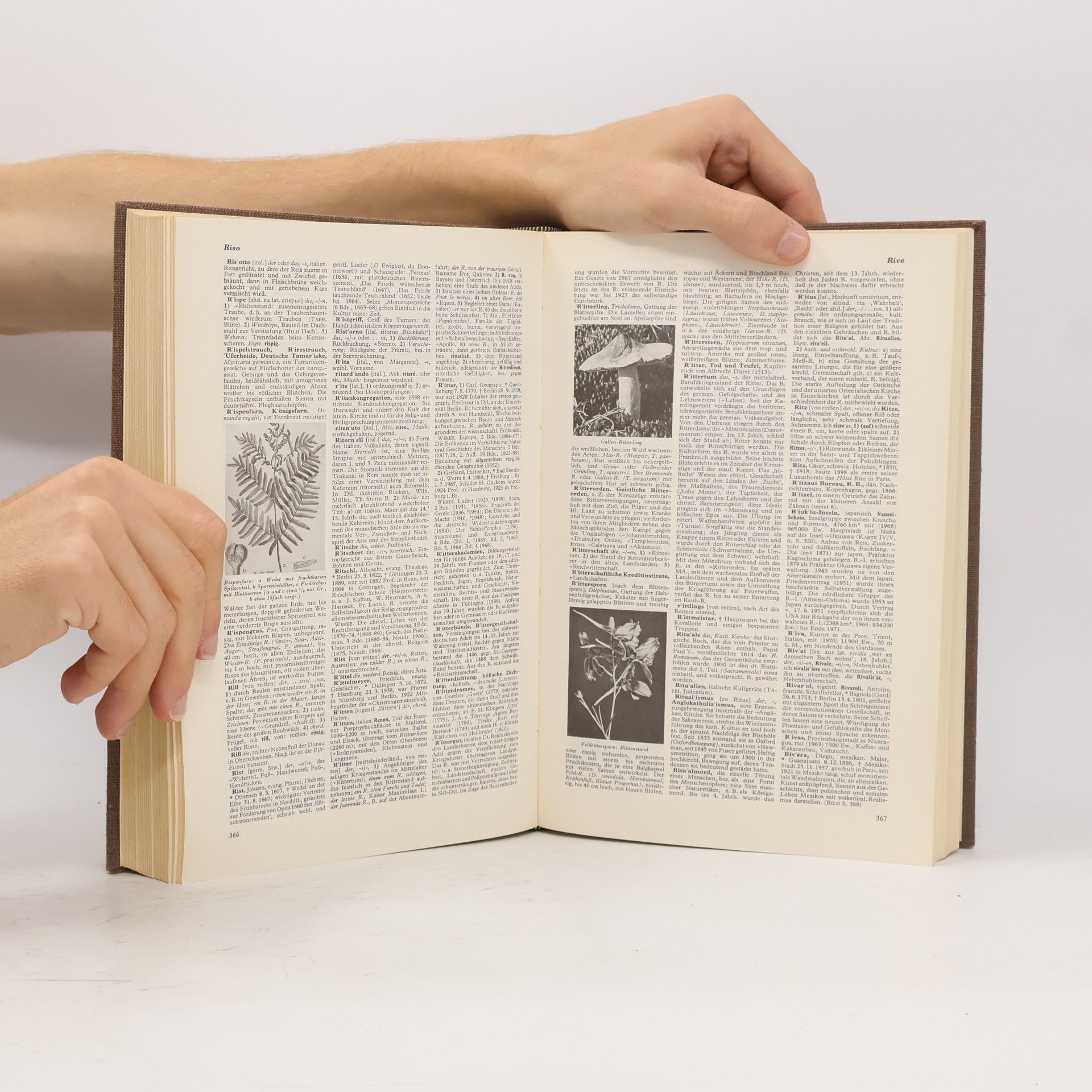 Kolektiv autorů Der Neue Brockhaus. Lexikon und Wörterbuch 4.
