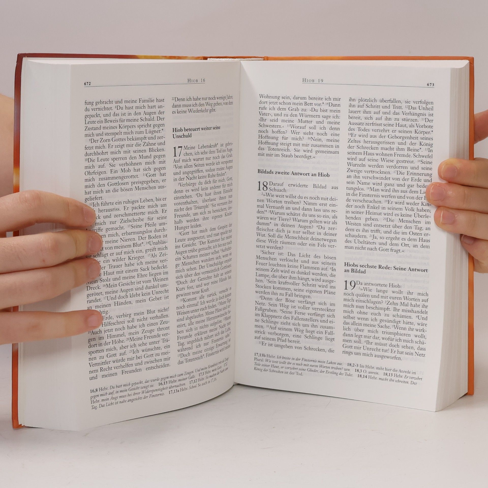 Collectif d'auteurs Neues Leben - Die Bibel, Orangenmotiv