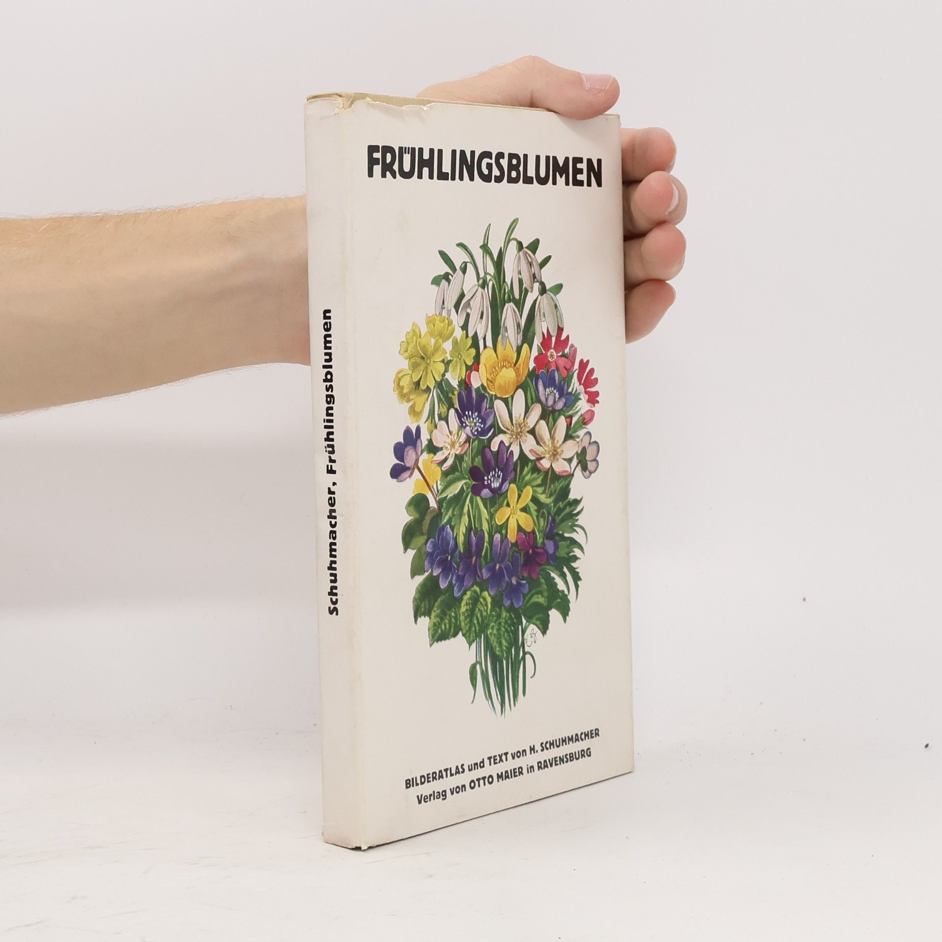 H. Schuhmacher Frühlingsblumen