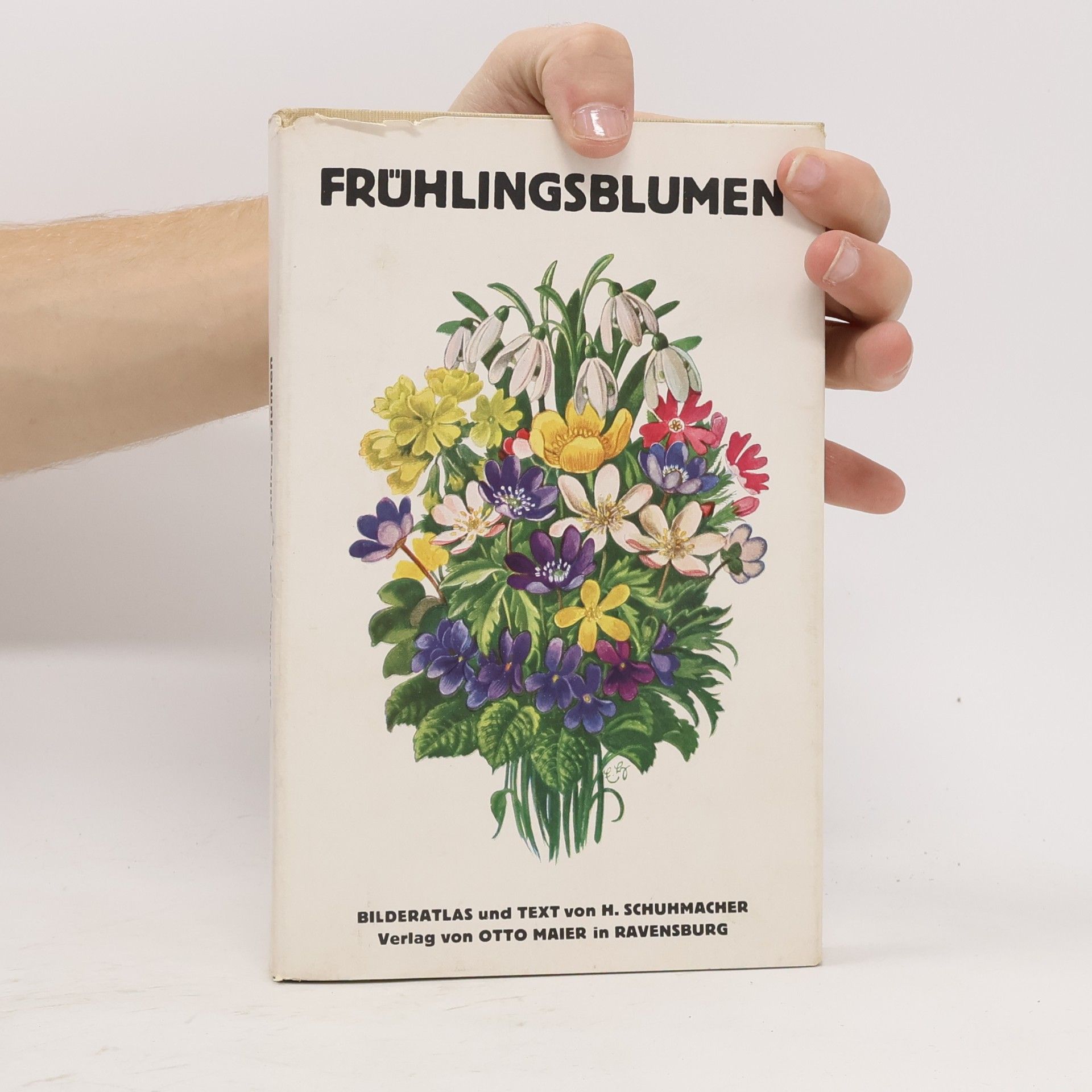 H. Schuhmacher Frühlingsblumen