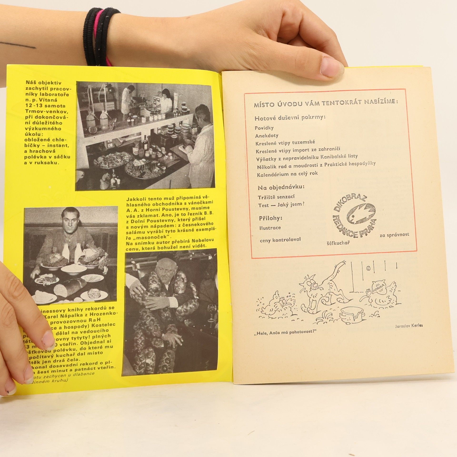 Auteurscollectief Minikalendář Dikobrazu 1982