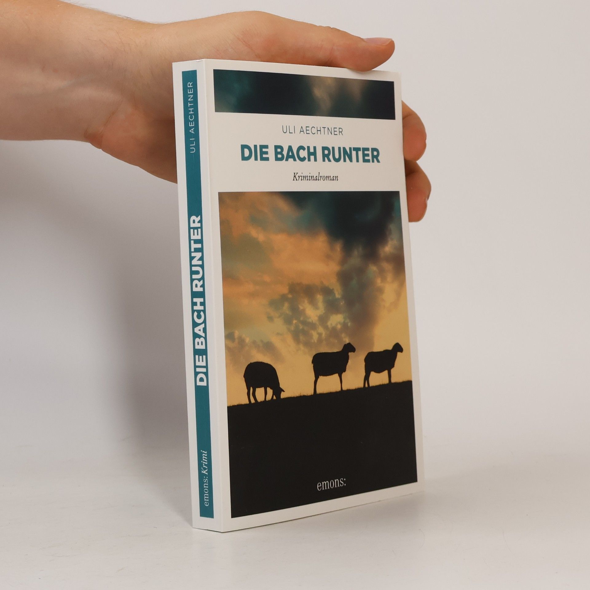Uli Aechtner Die Bach runter