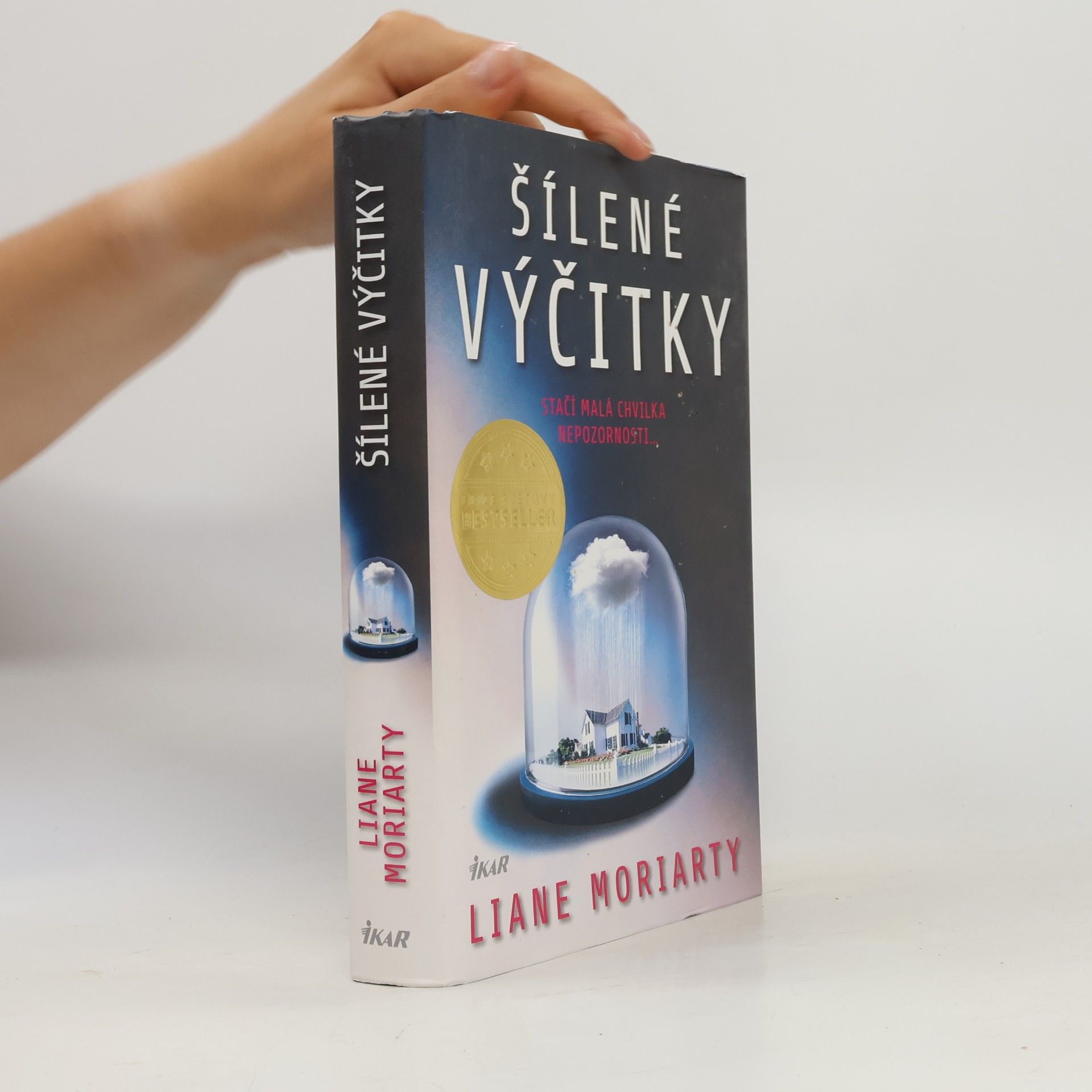 Liane Moriarty Šílené výčitky