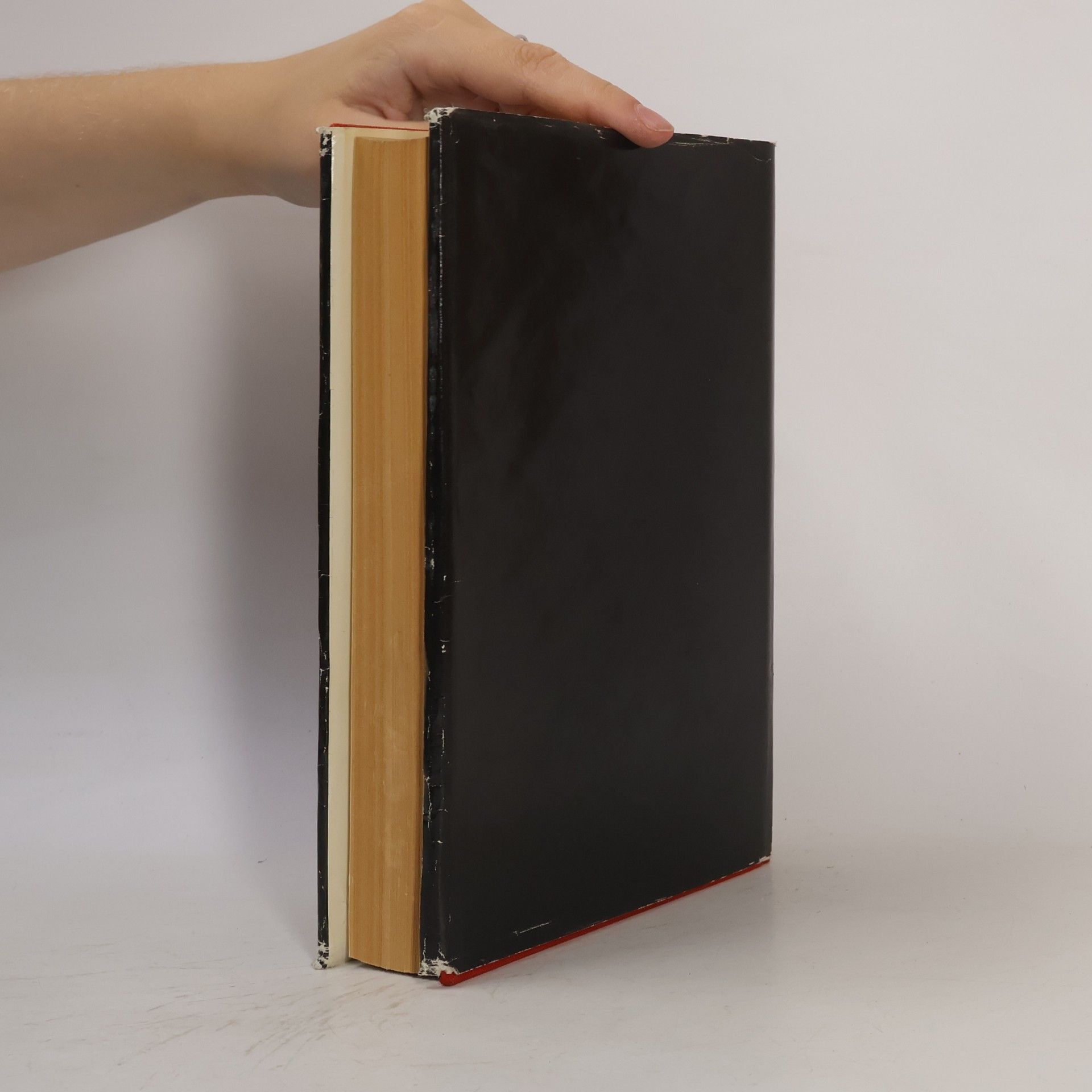 Peter Czerny Opernbuch