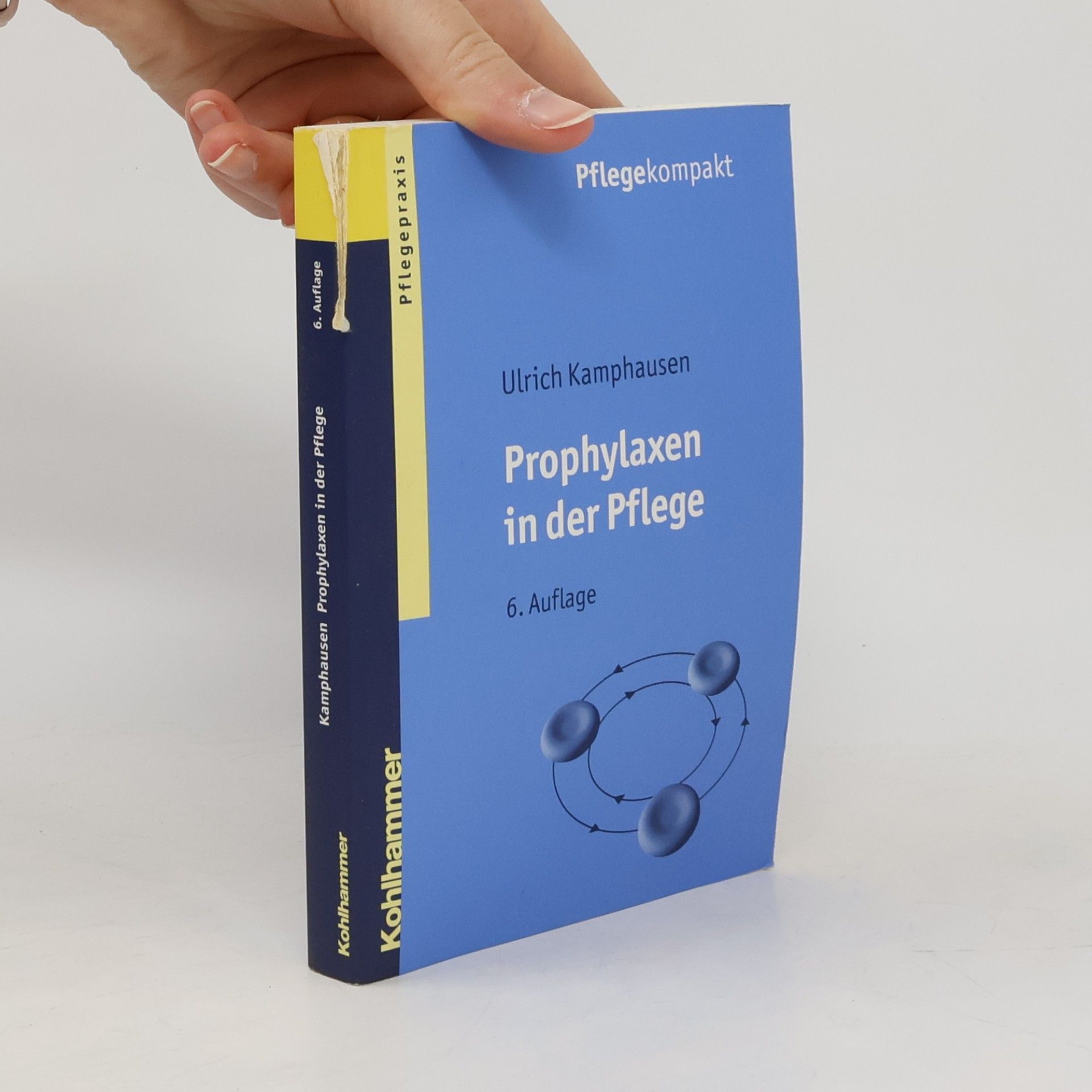 Ulrich Kamphausen Prophylaxen in der Pflege - 6. Auflage