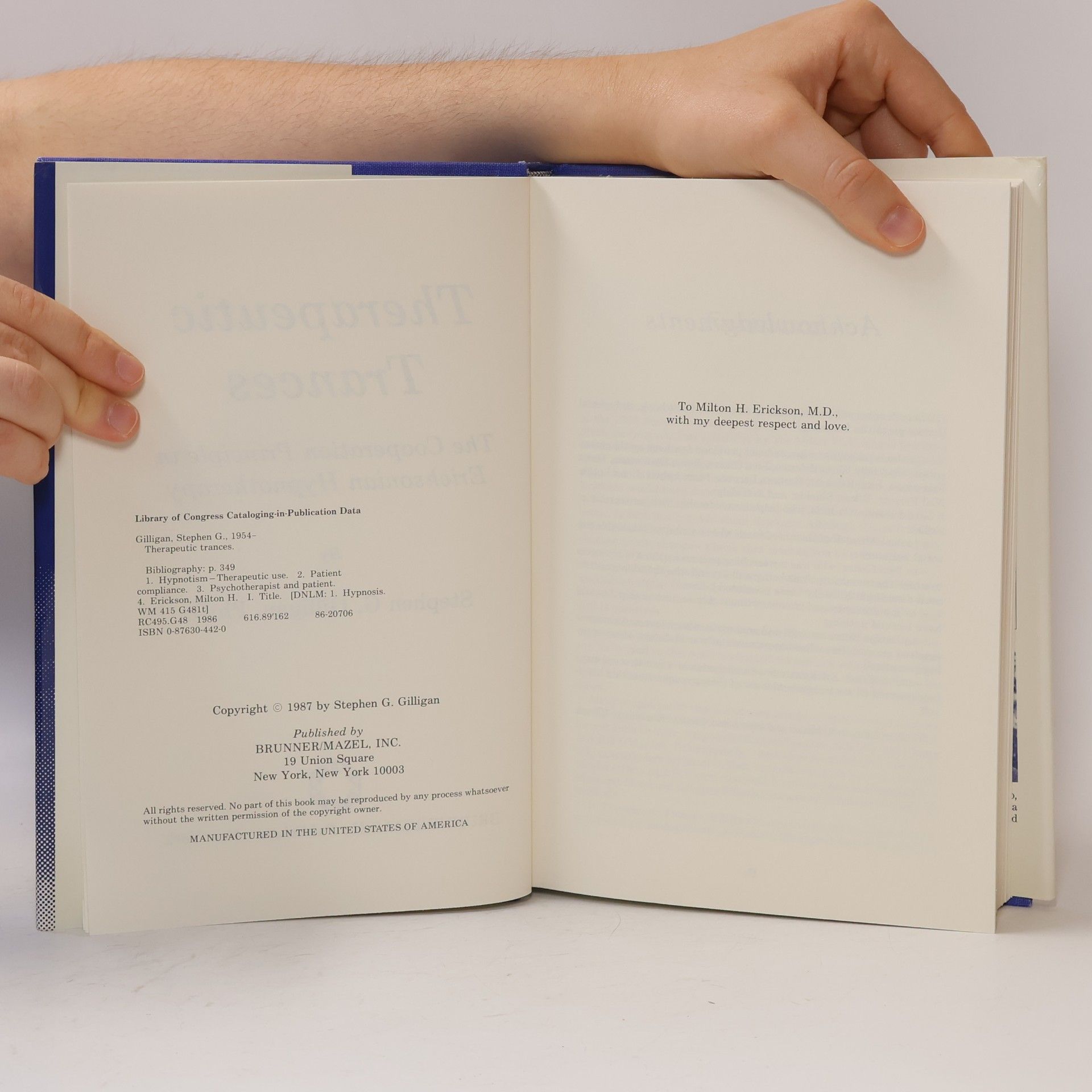 Stephen Gilligan Therapeutic Trances