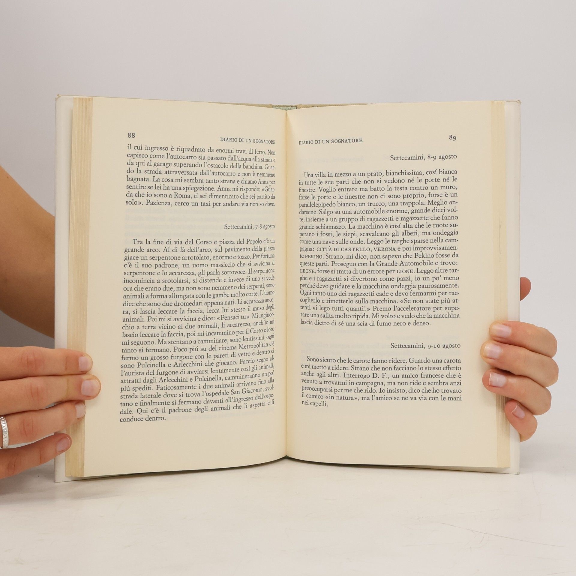 Luigi Malerba Diario di un sognatore