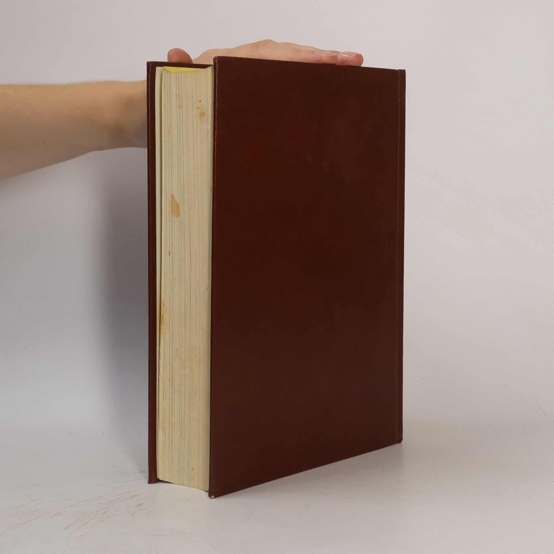 H. Scharfenberg Das große Koch- und Küchenbuch