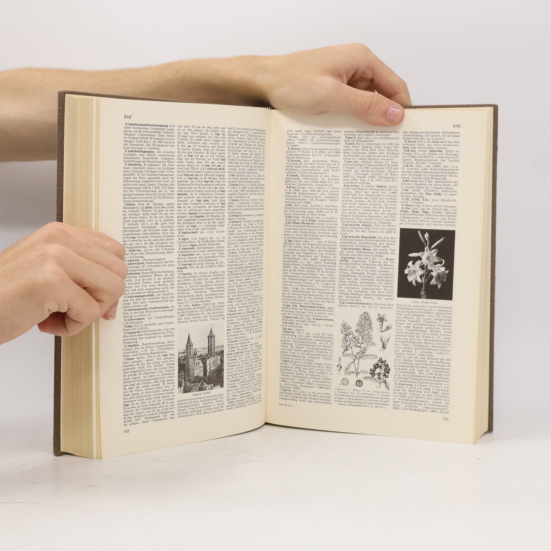 Autorenkollektiv Der neue Brockhaus 3. J-Neu