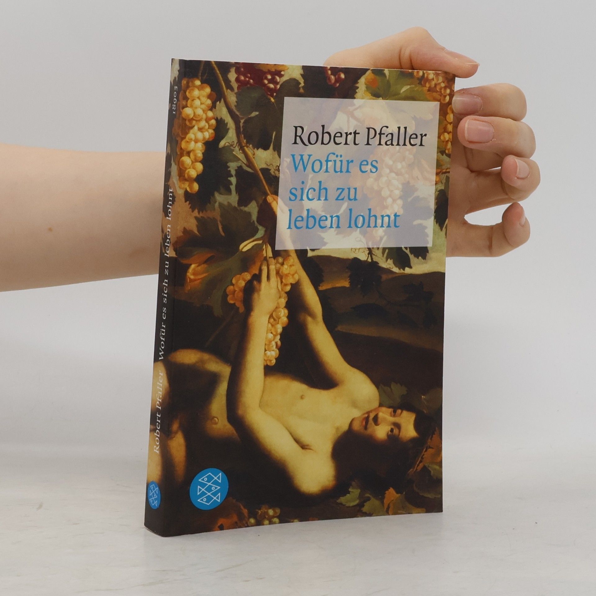 Robert Pfaller Wofür es sich zu leben lohnt