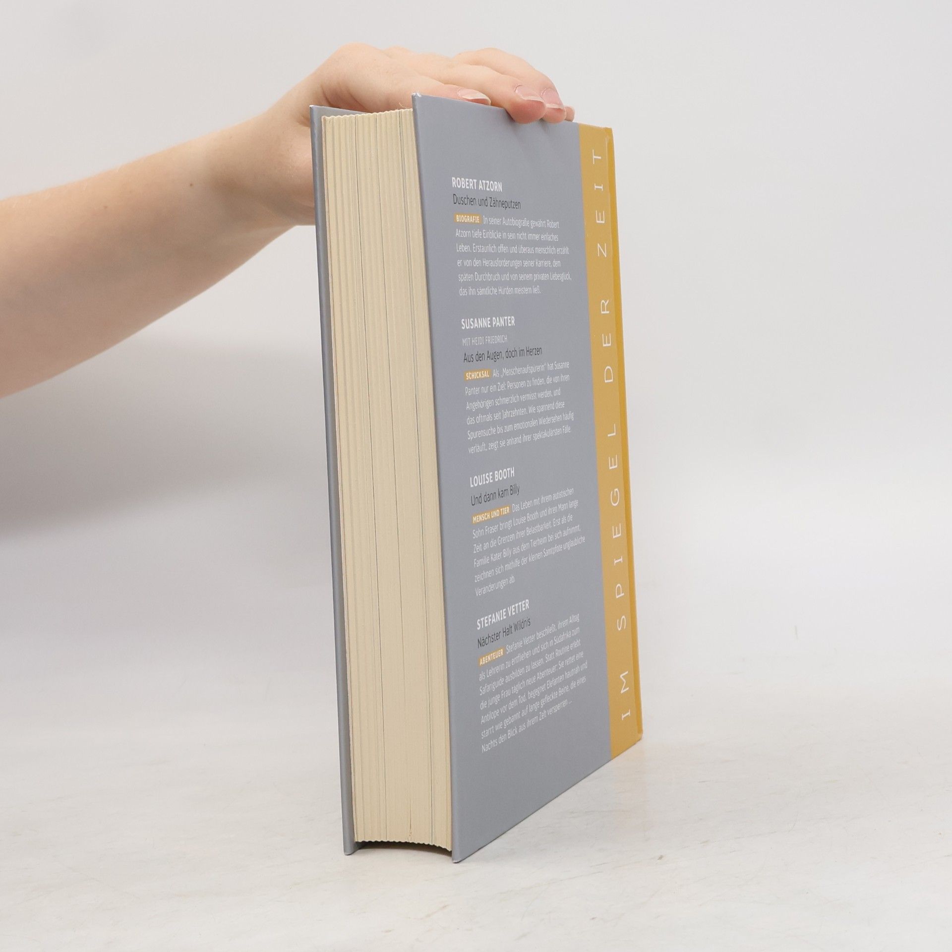 Various authors Im Spiegel der Zeit