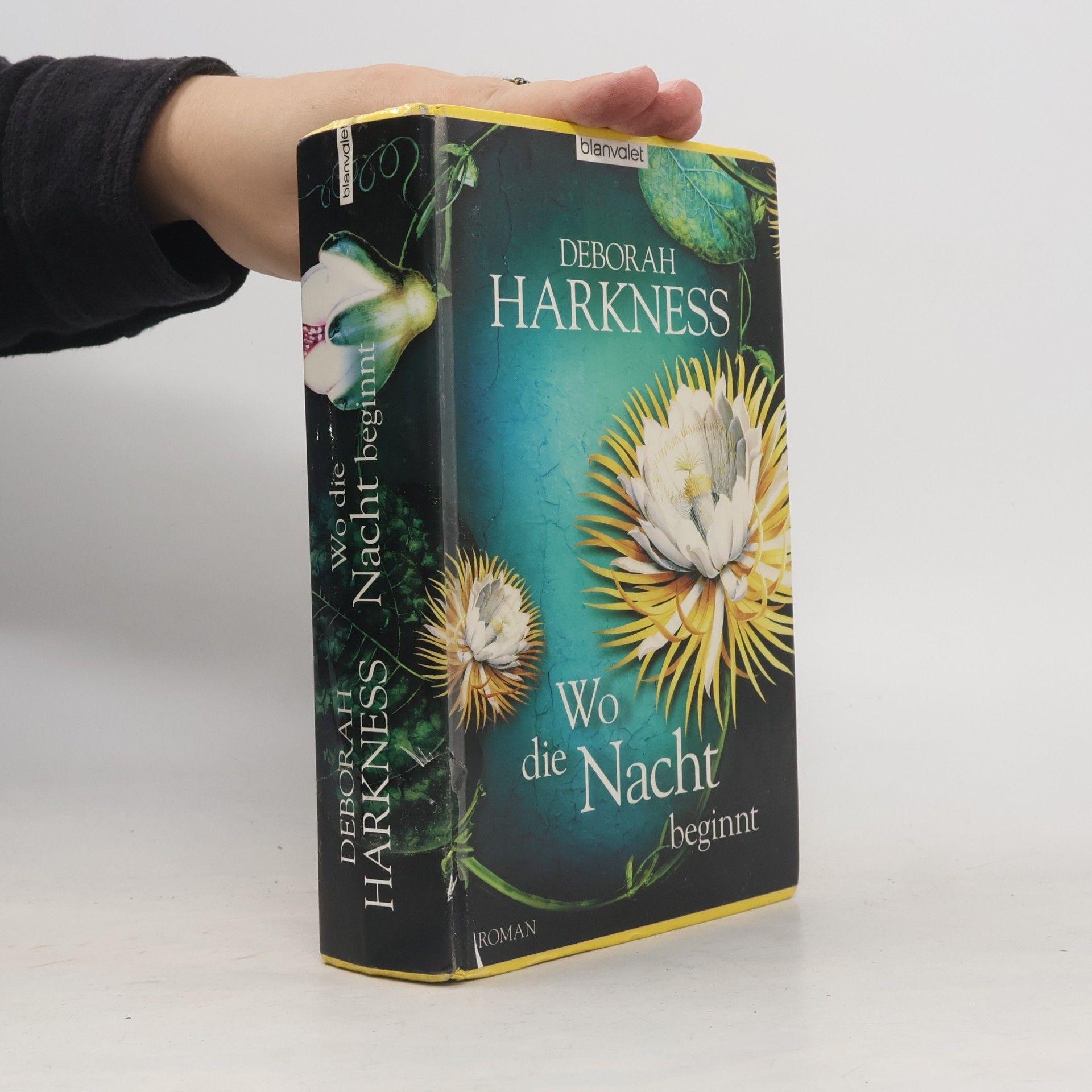 Deborah Harkness Wo die Nacht beginnt