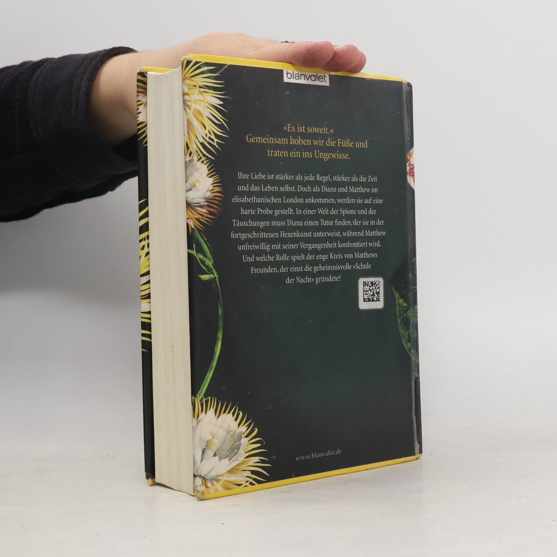 Deborah Harkness Wo die Nacht beginnt