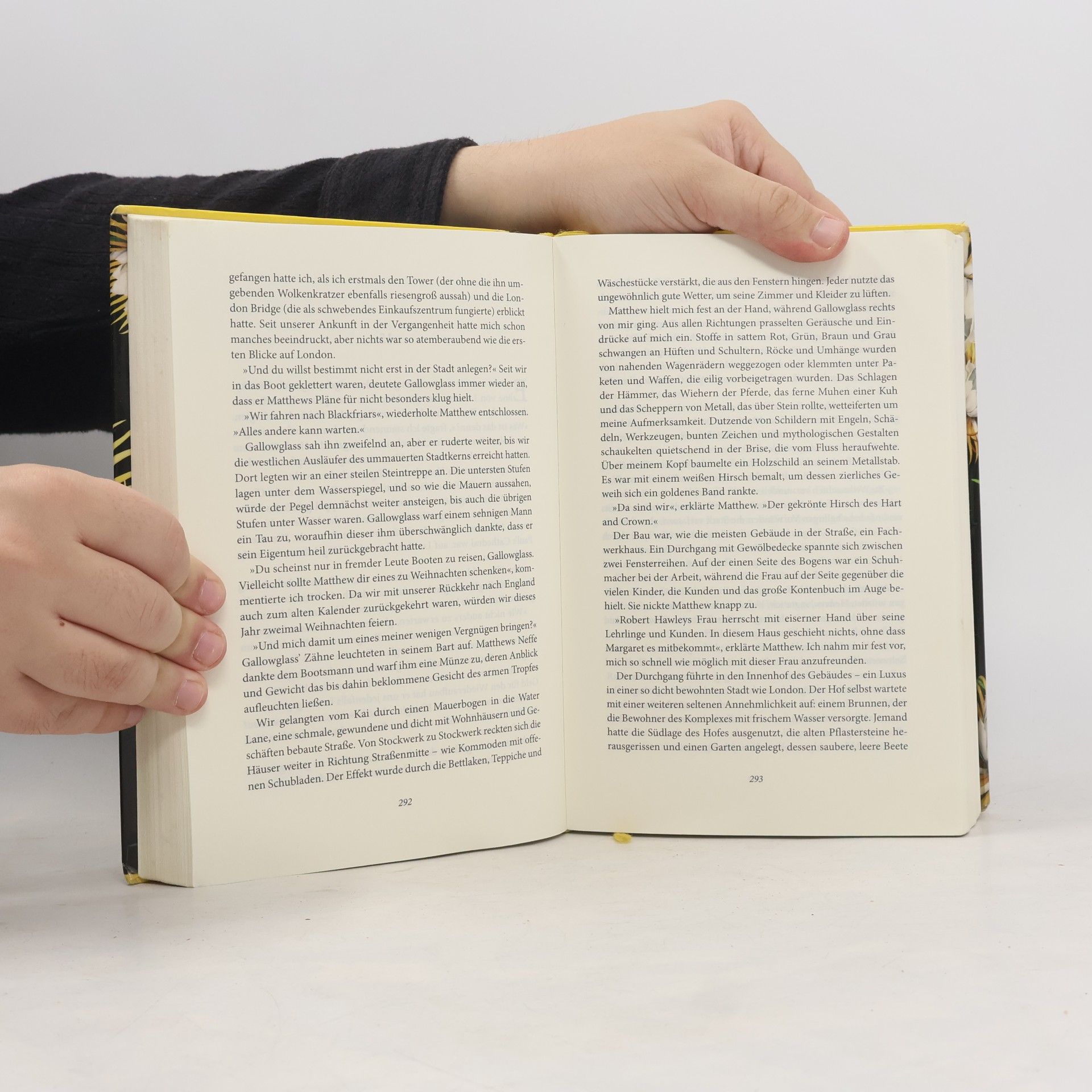 Deborah Harkness Wo die Nacht beginnt