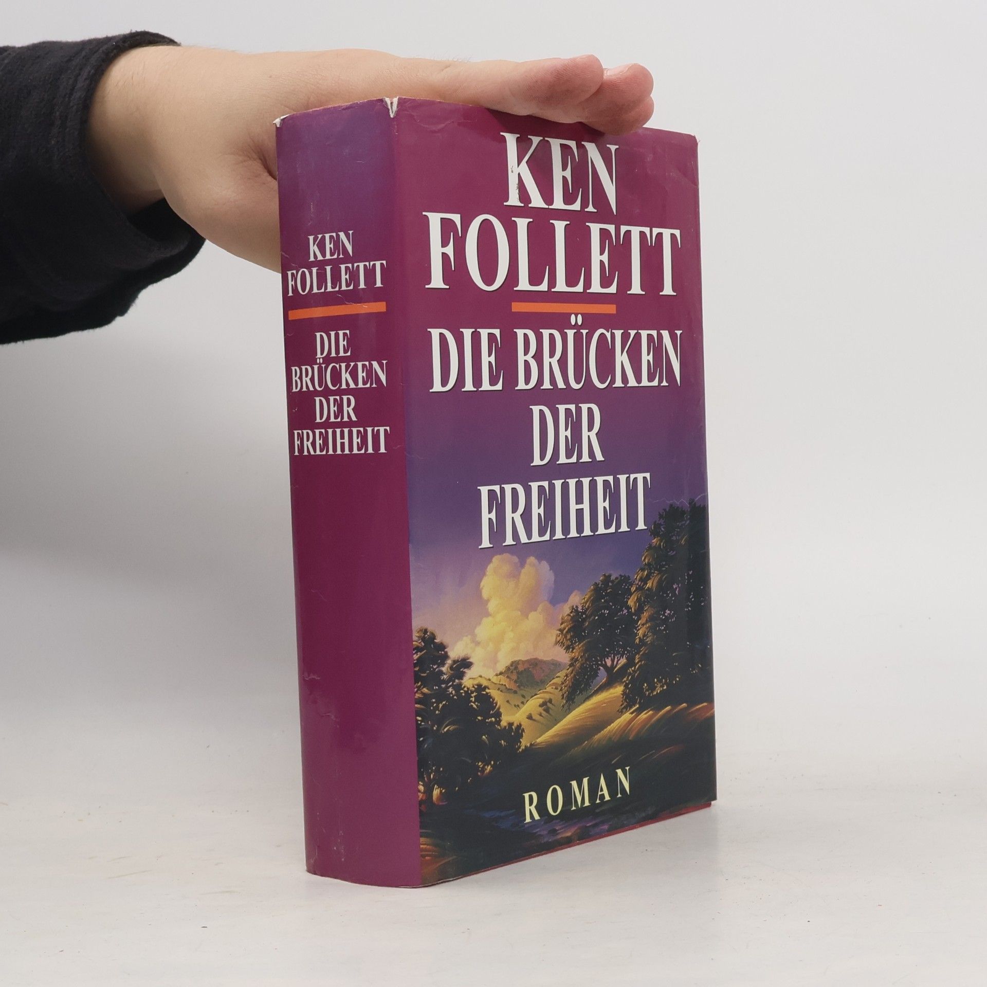 Ken Follett Die Brücken der Freiheit